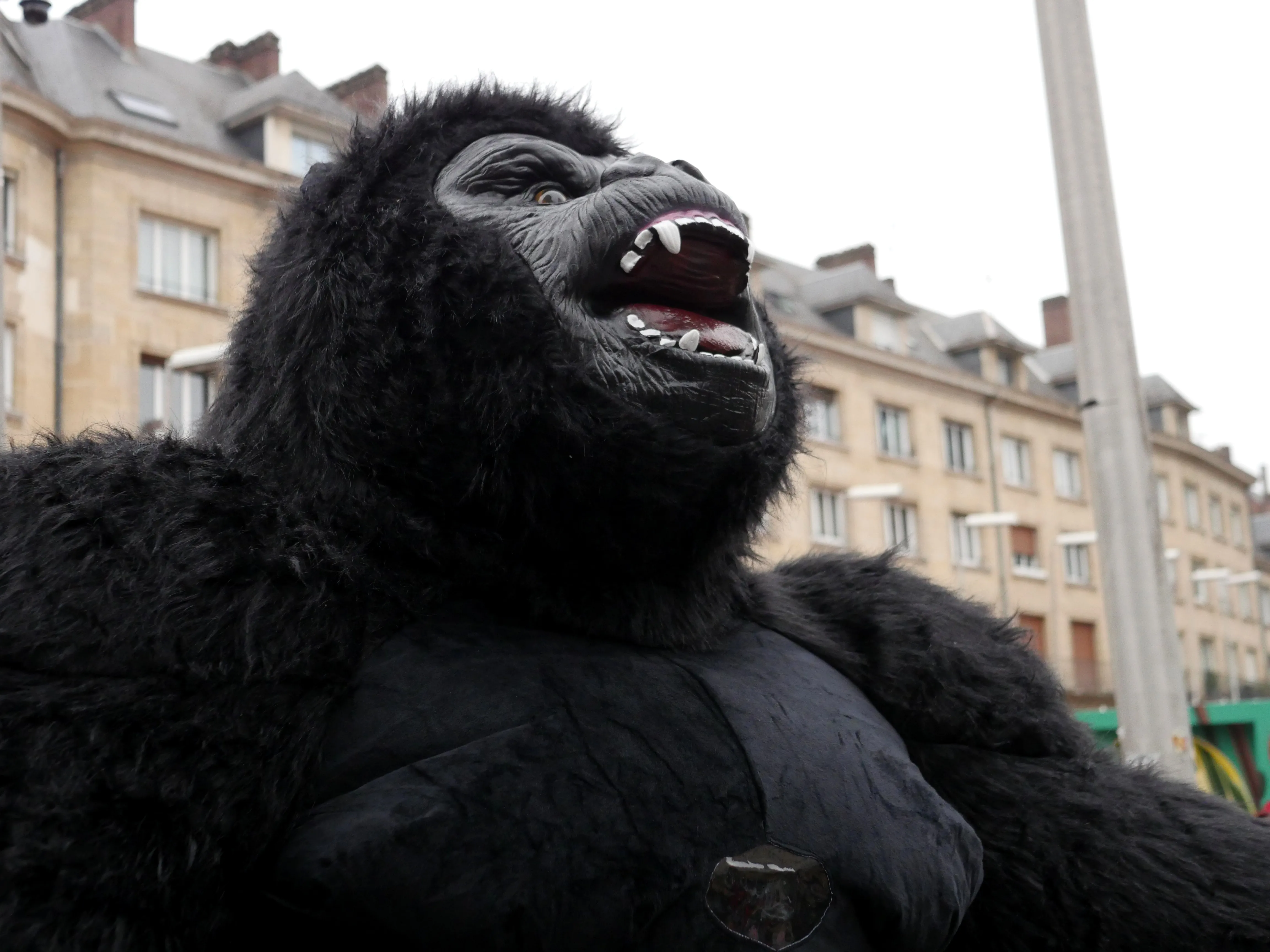 UN GORILLE À GAMBETTA