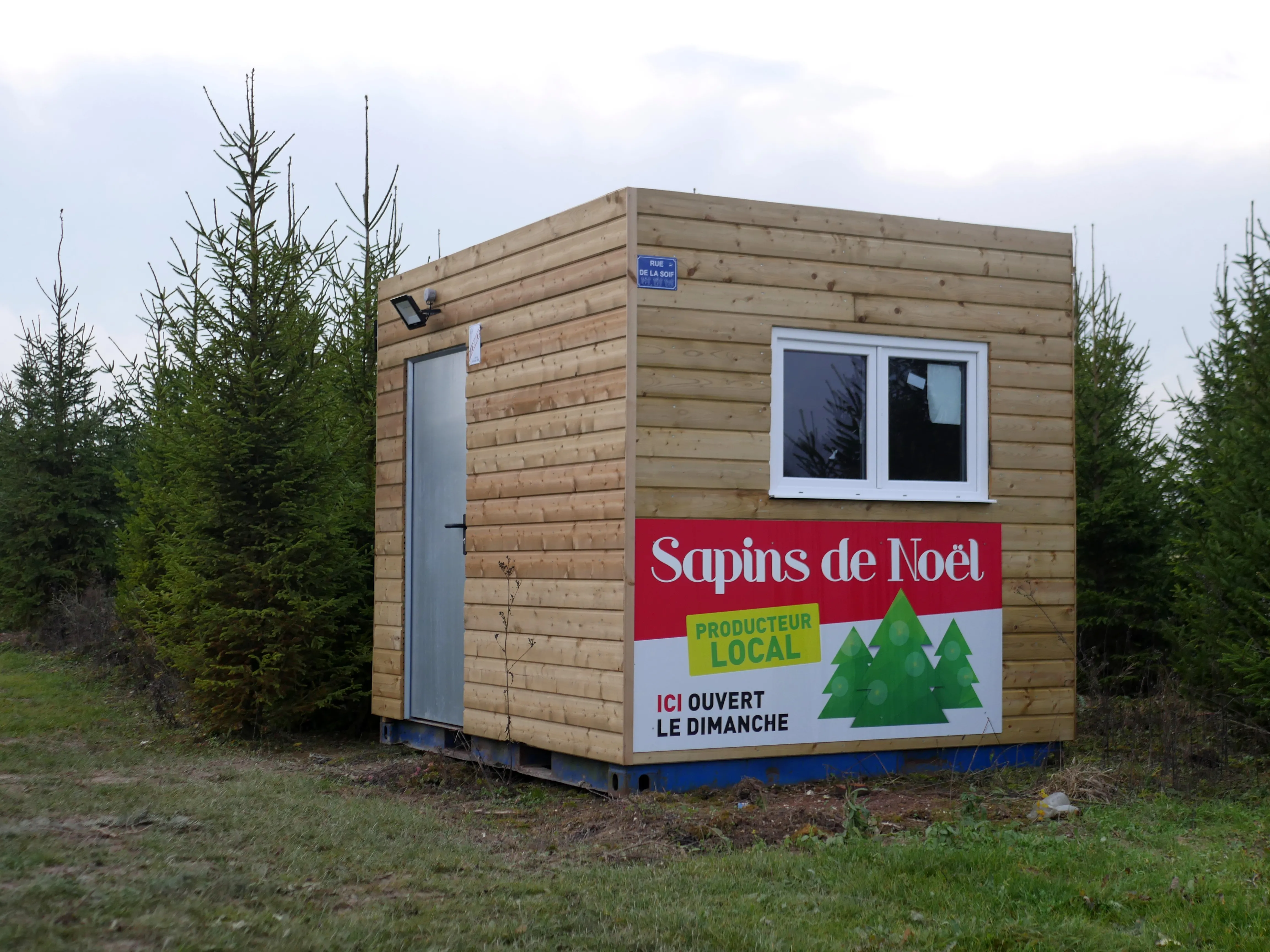 ÇA SENT BON LE SAPIN
