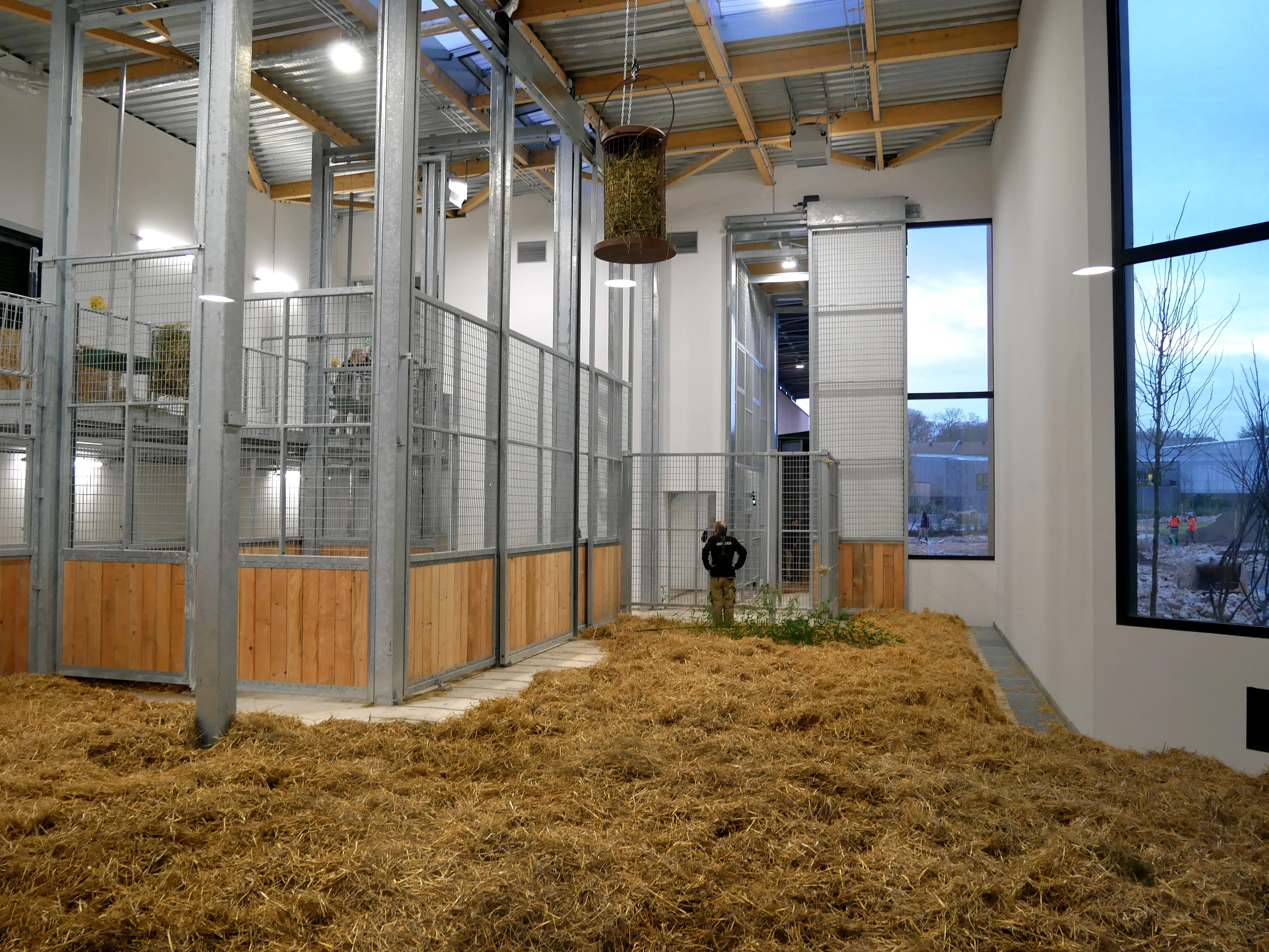 NOS BELLES GIRAFES SONT ARRIVÉES