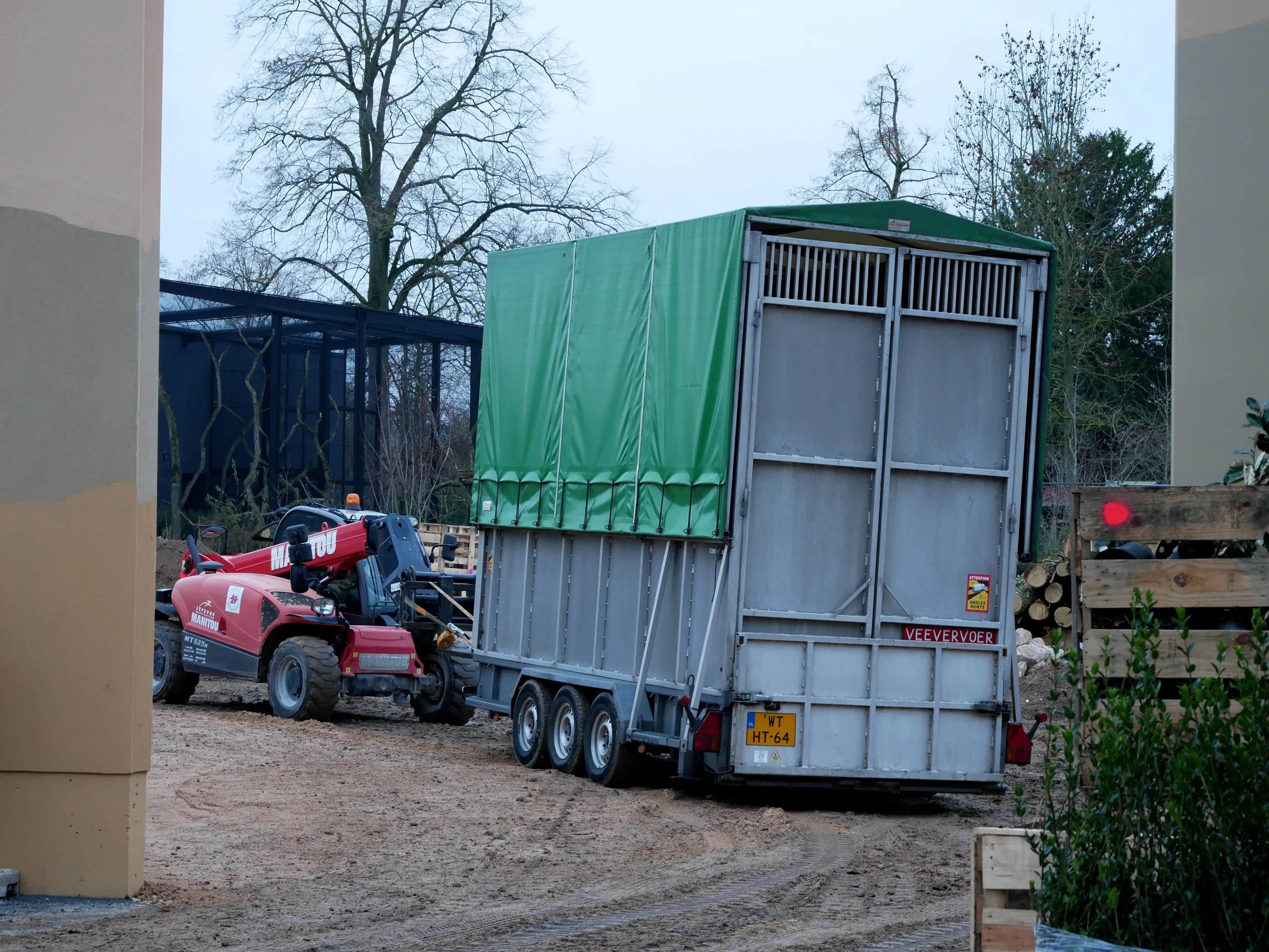 NOS BELLES GIRAFES SONT ARRIVÉES