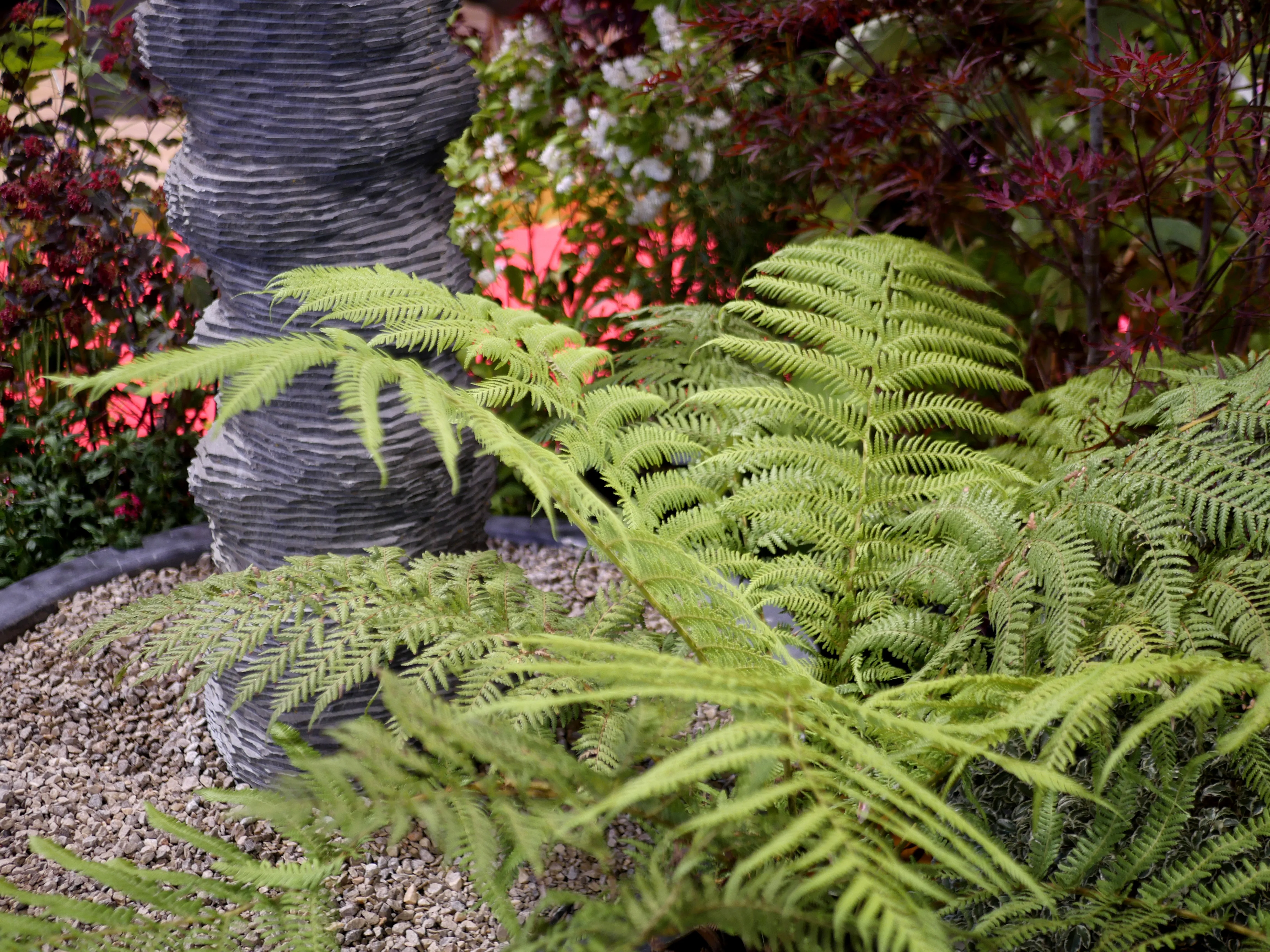 LE GRAND VOYAGE COMMENCE