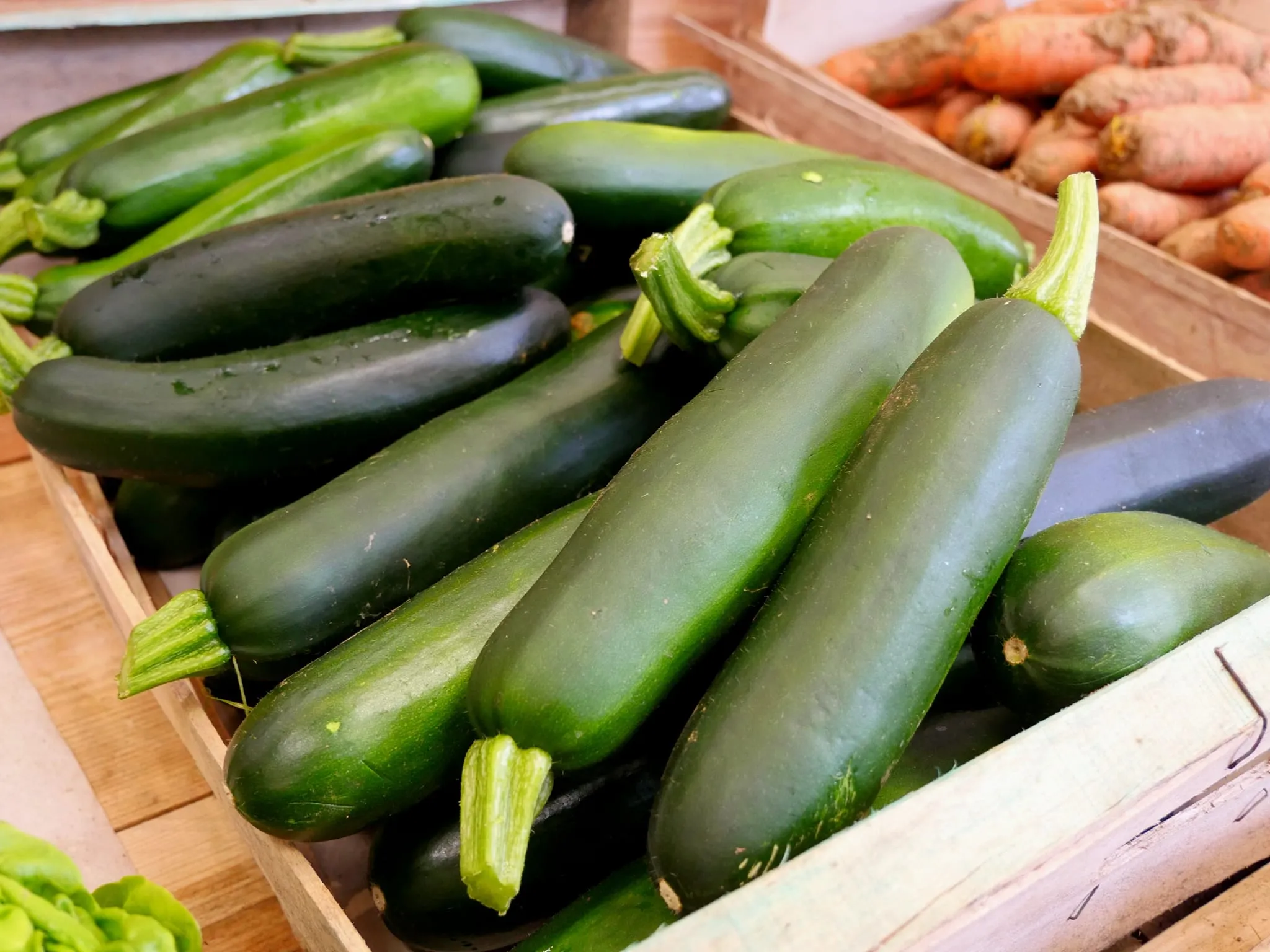 CULTIVÉS À AMIENS
