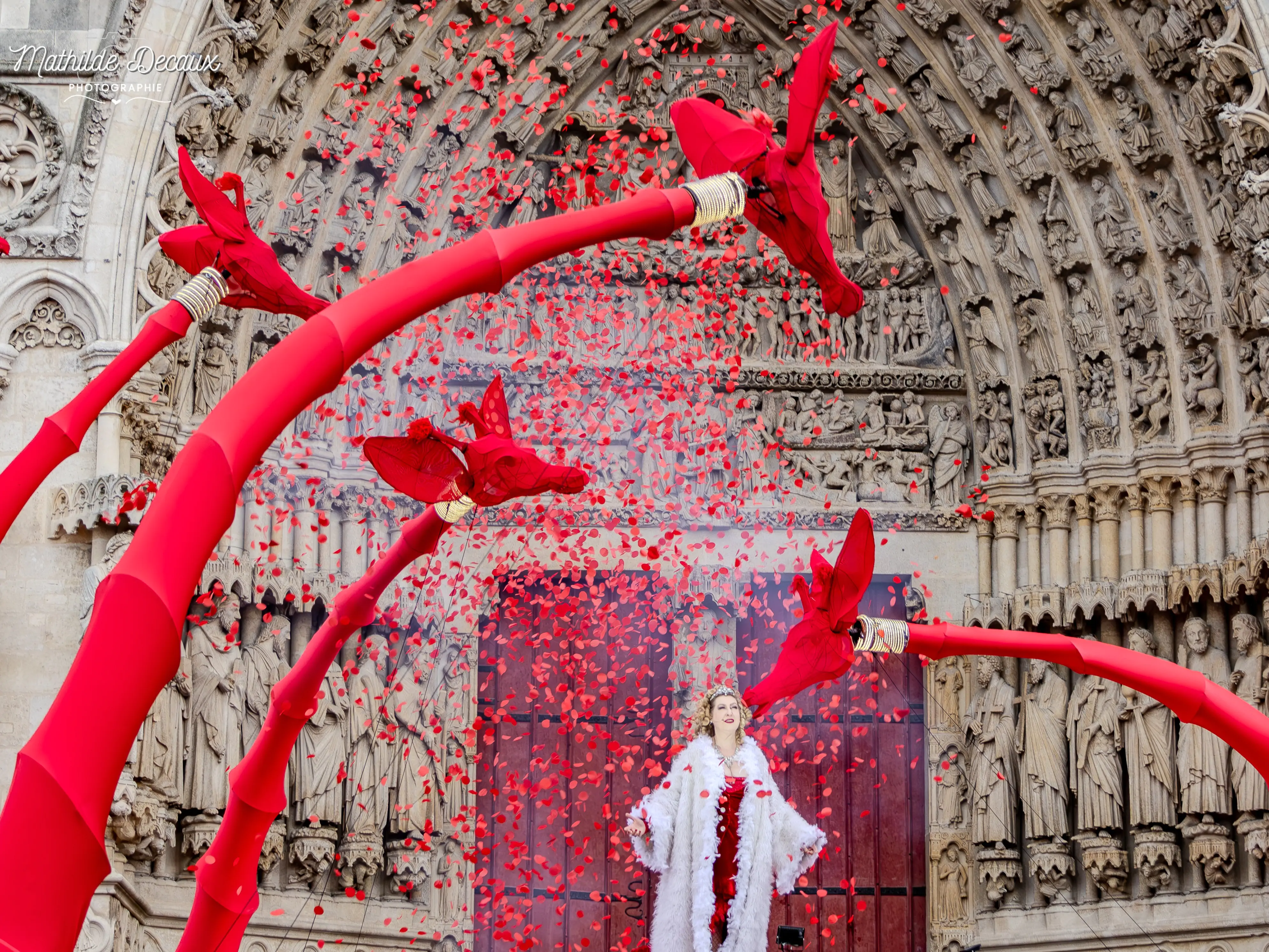DES GIRAFES ONT ENVAHI AMIENS