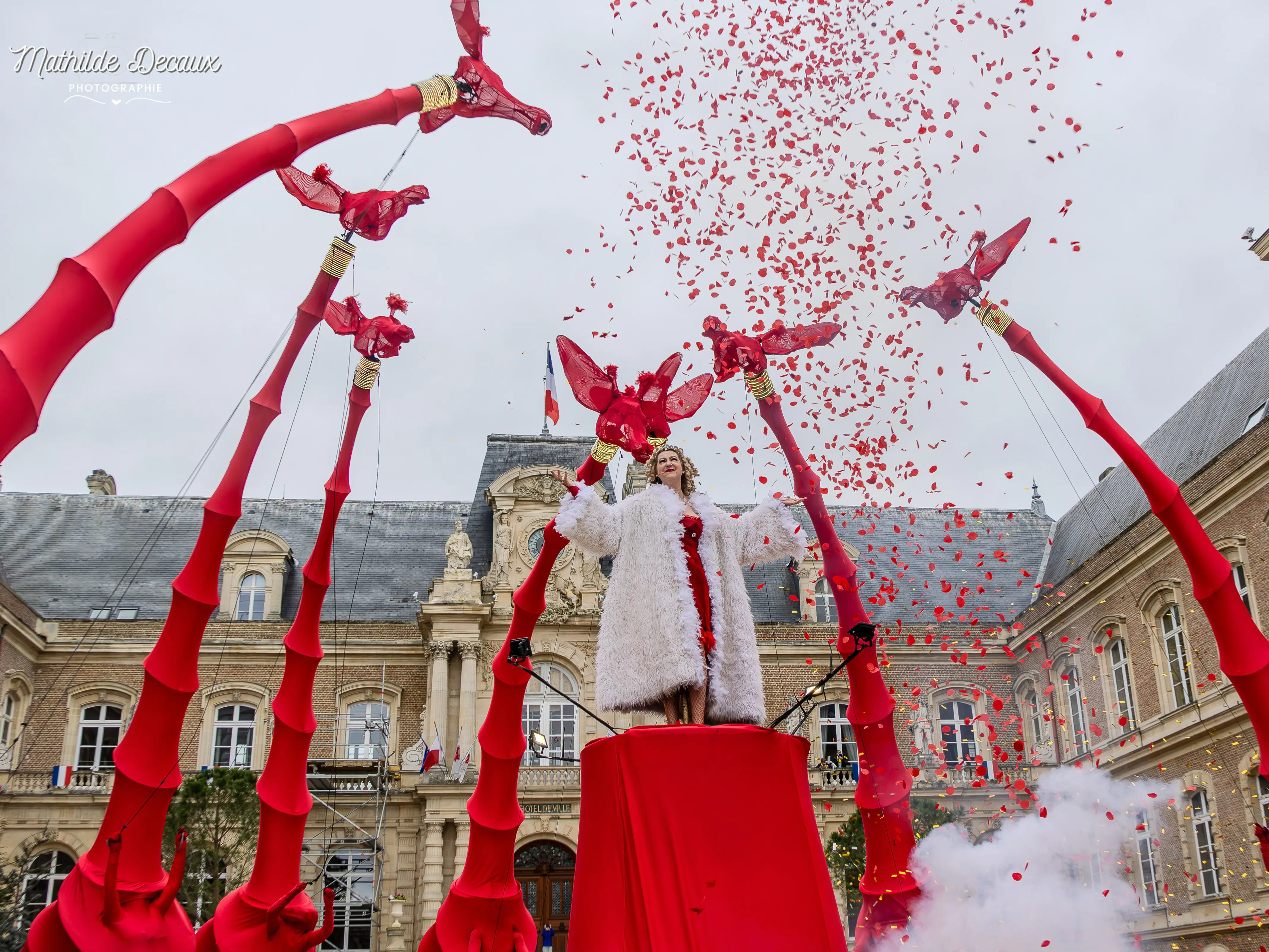 DES GIRAFES ONT ENVAHI AMIENS