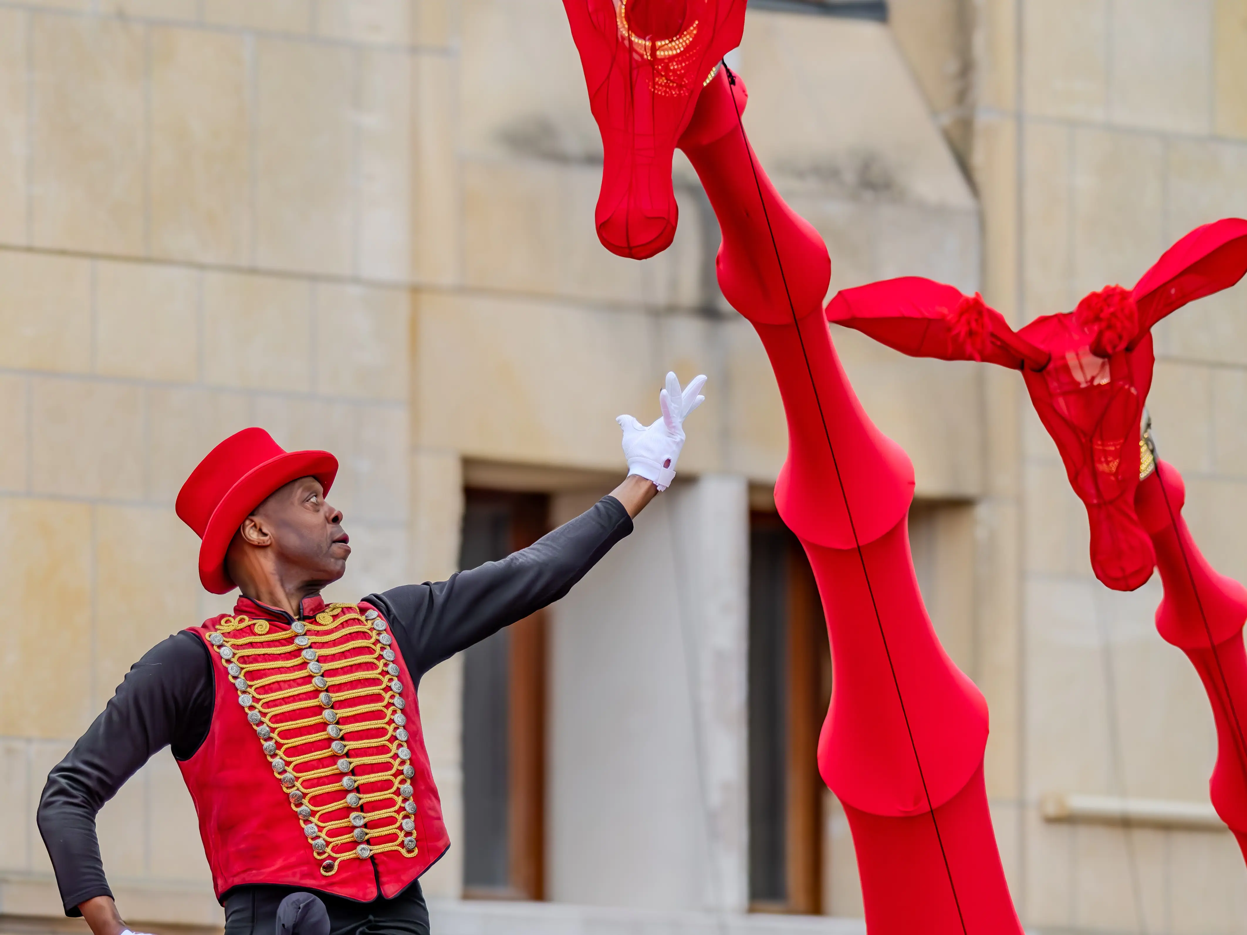DES GIRAFES ONT ENVAHI AMIENS