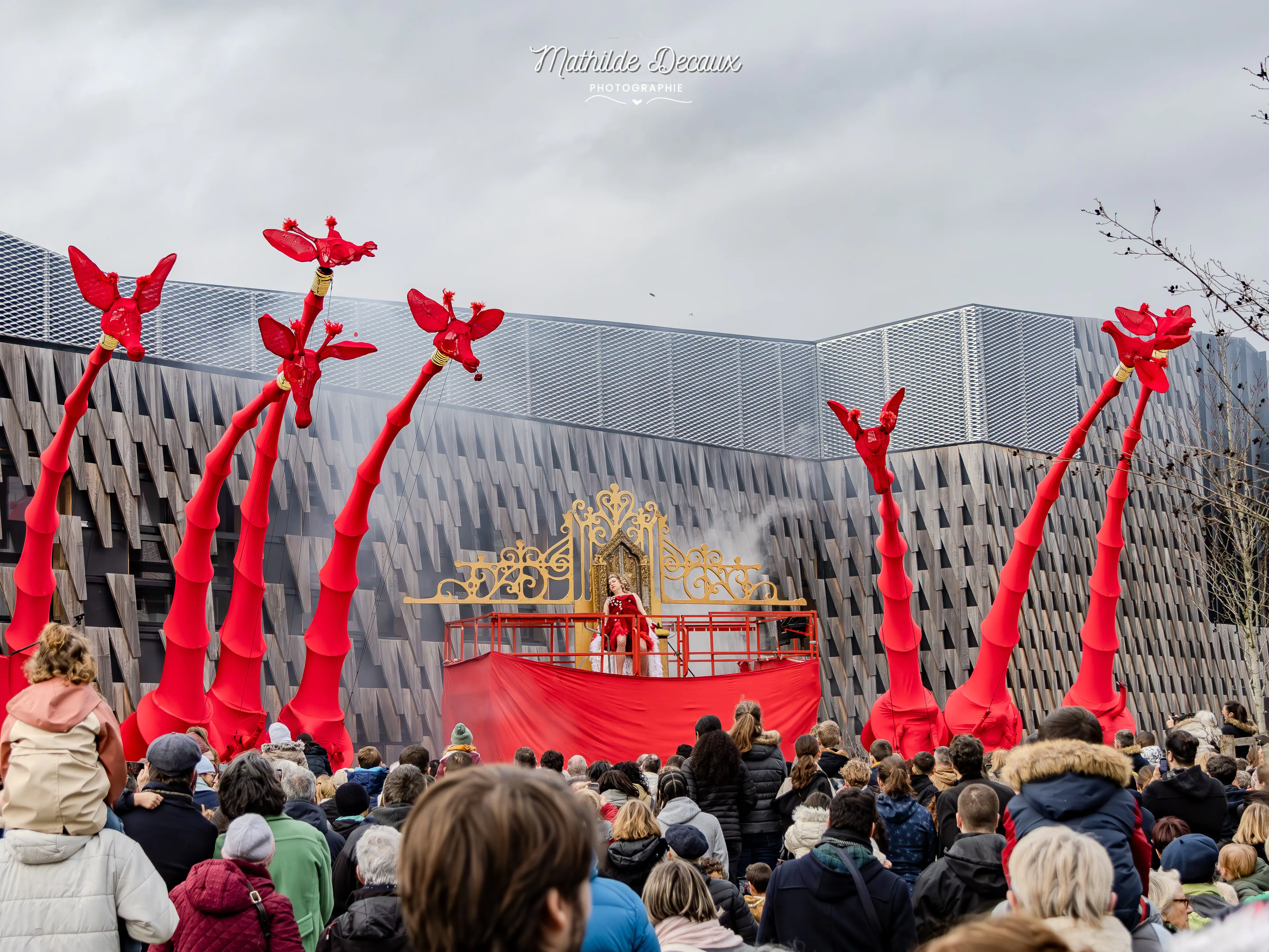 DES GIRAFES ONT ENVAHI AMIENS