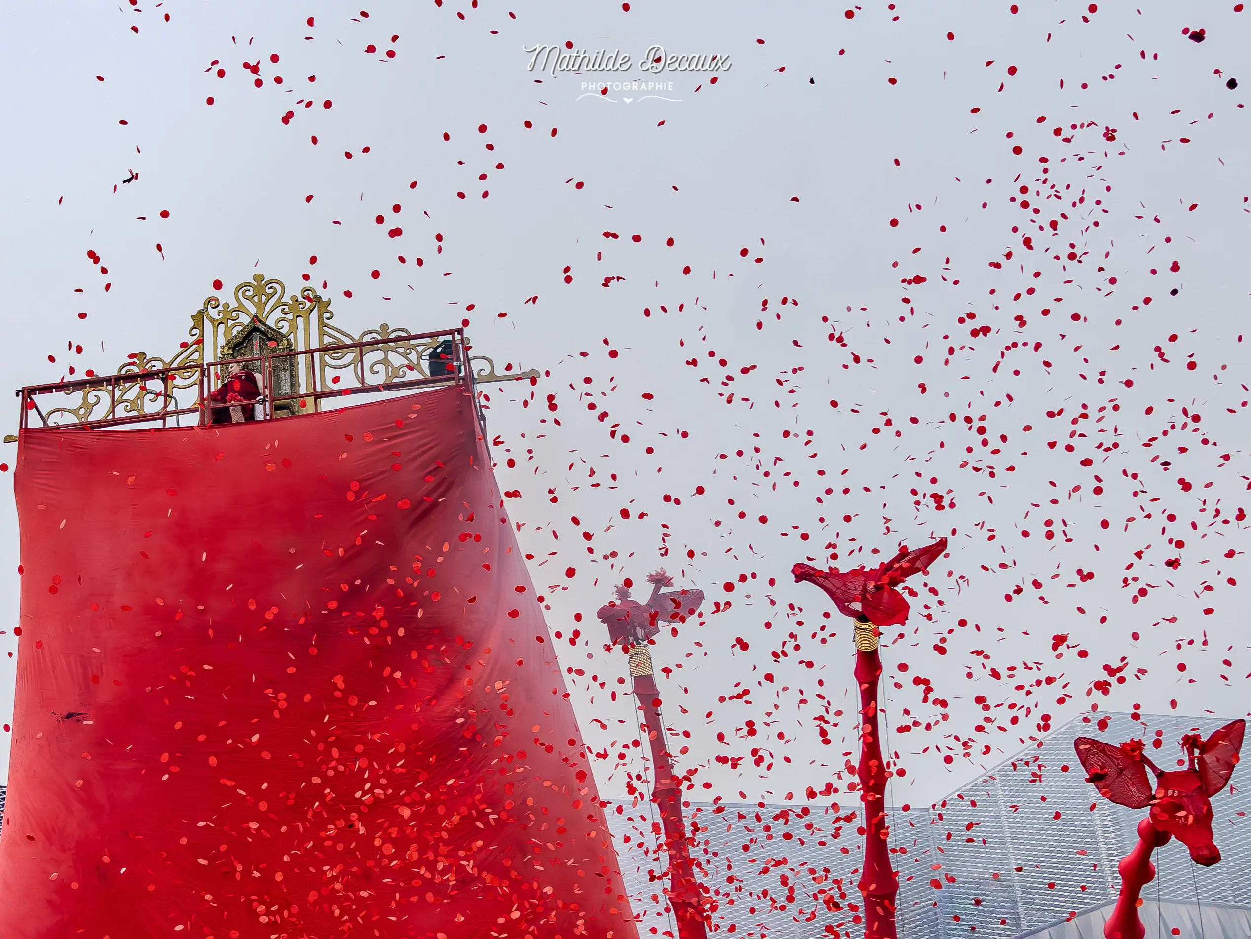 DES GIRAFES ONT ENVAHI AMIENS