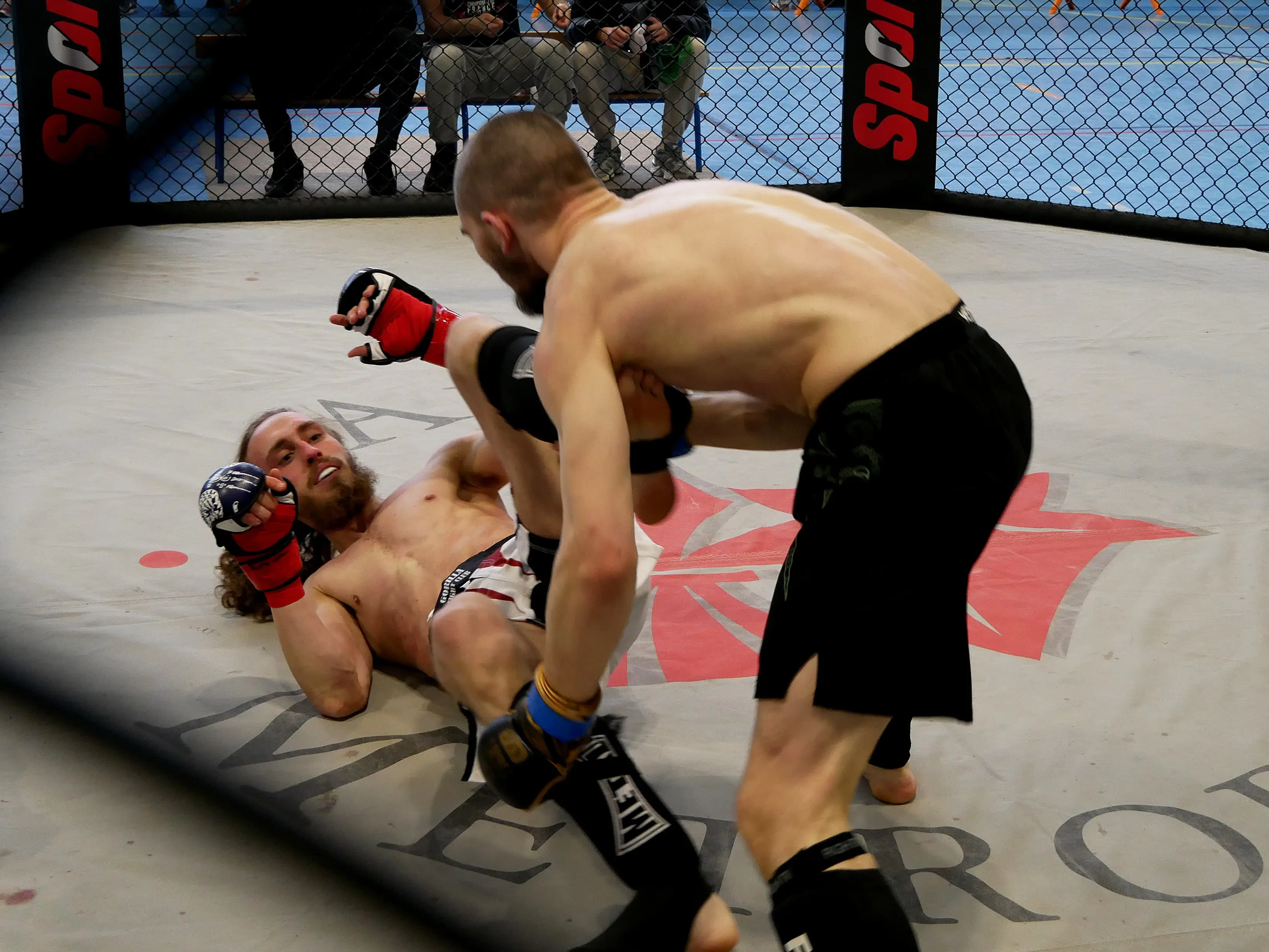 UN OCTOGONE AUX 4 CHÊNES