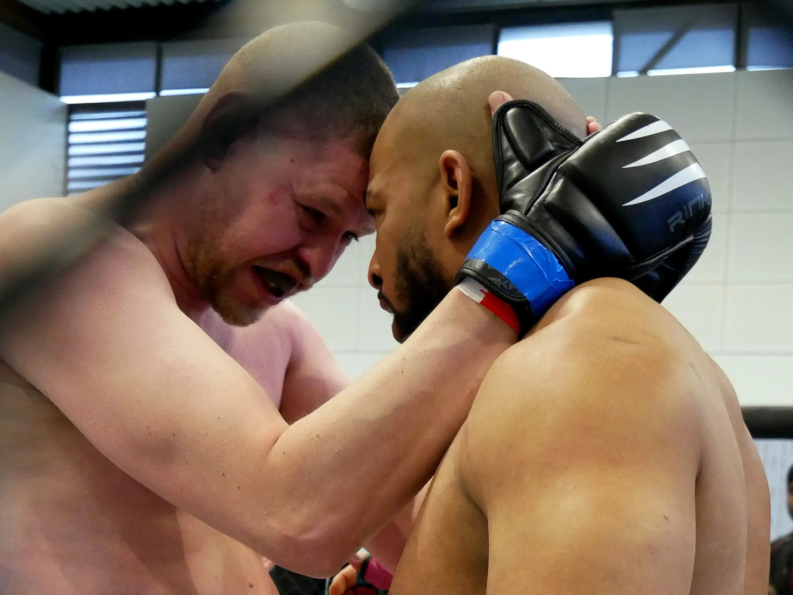 UN OCTOGONE AUX 4 CHÊNES