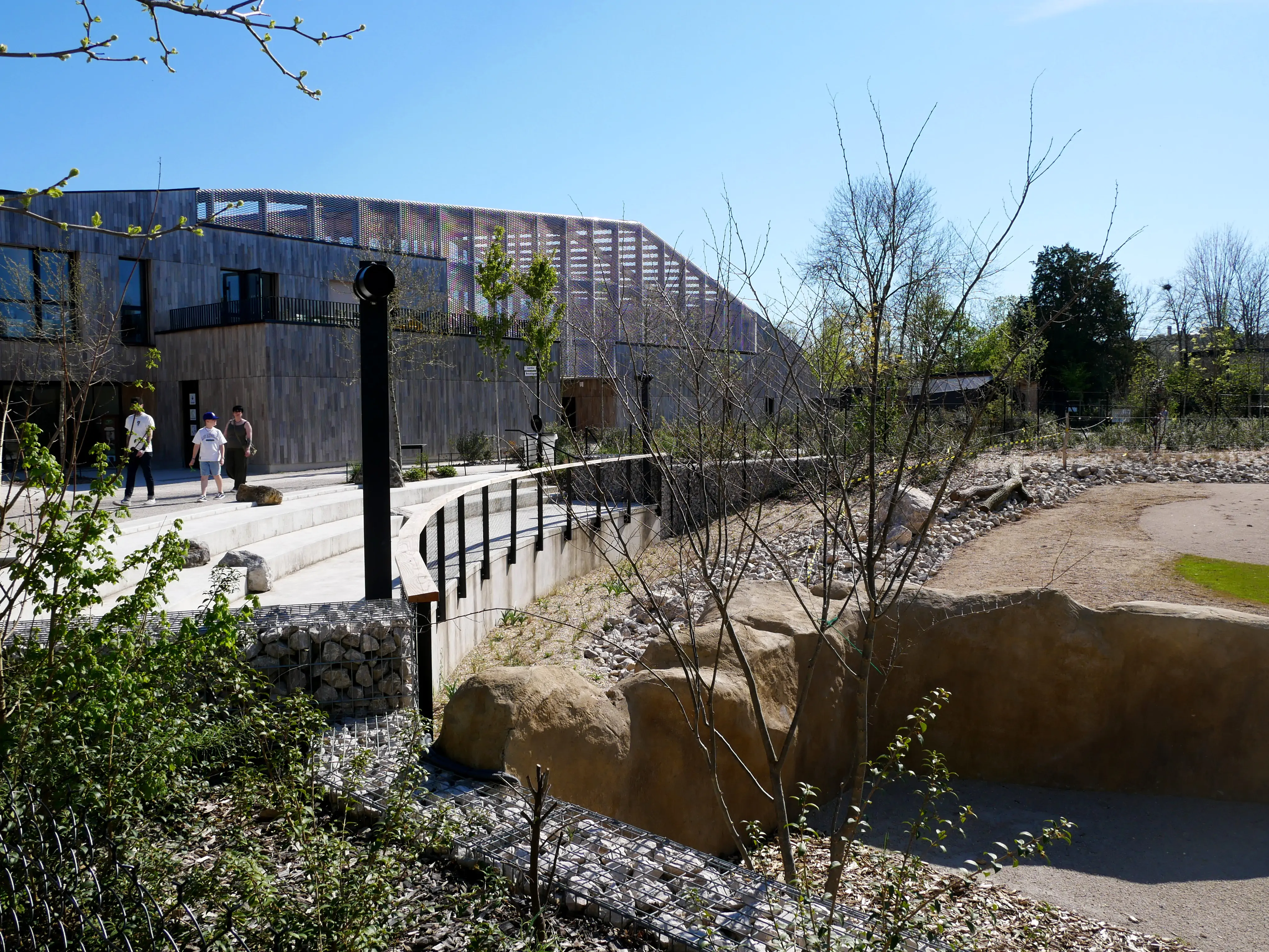 TOUS ENSEMBLE DANS LA SAVANE