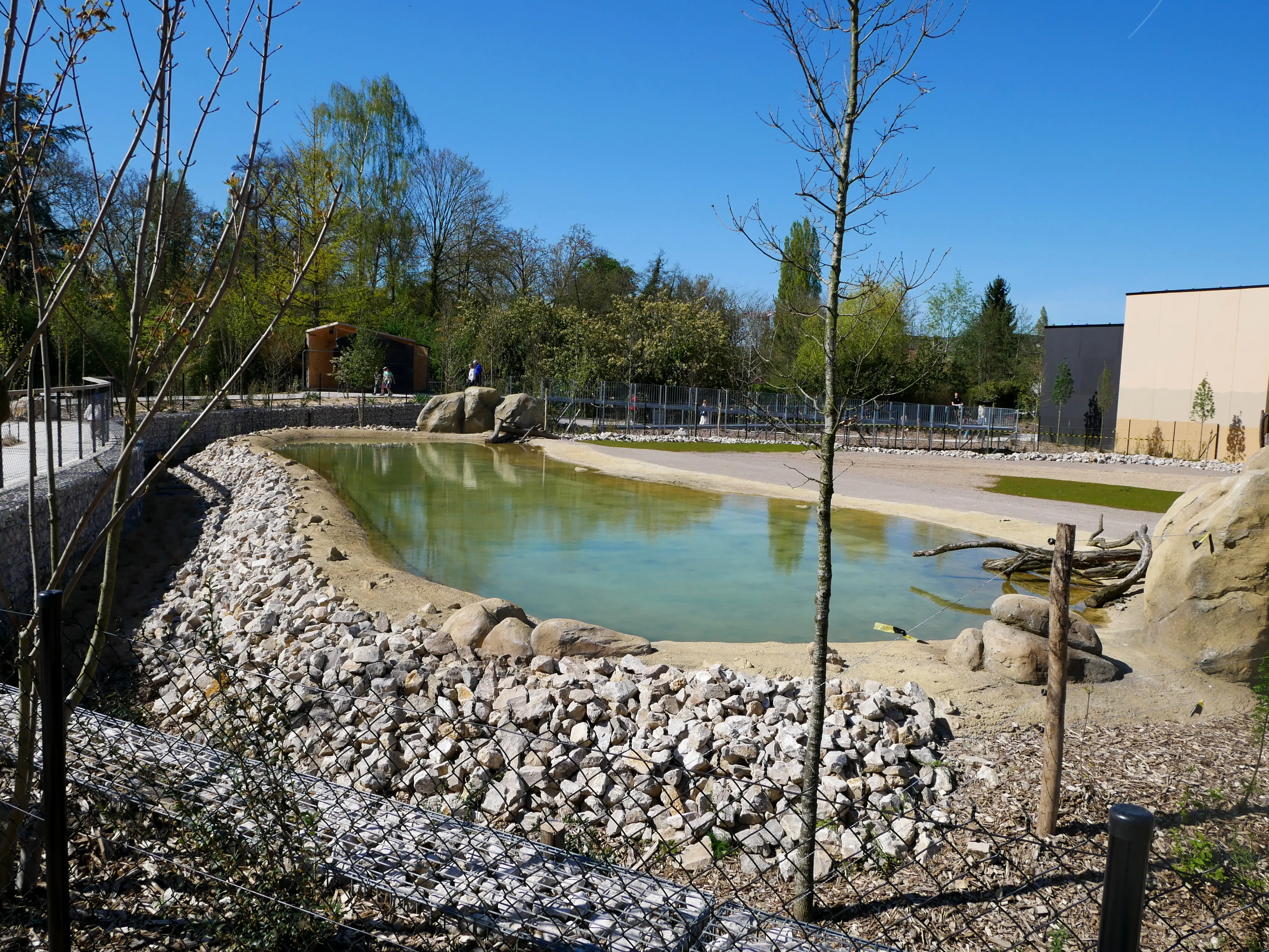 TOUS ENSEMBLE DANS LA SAVANE