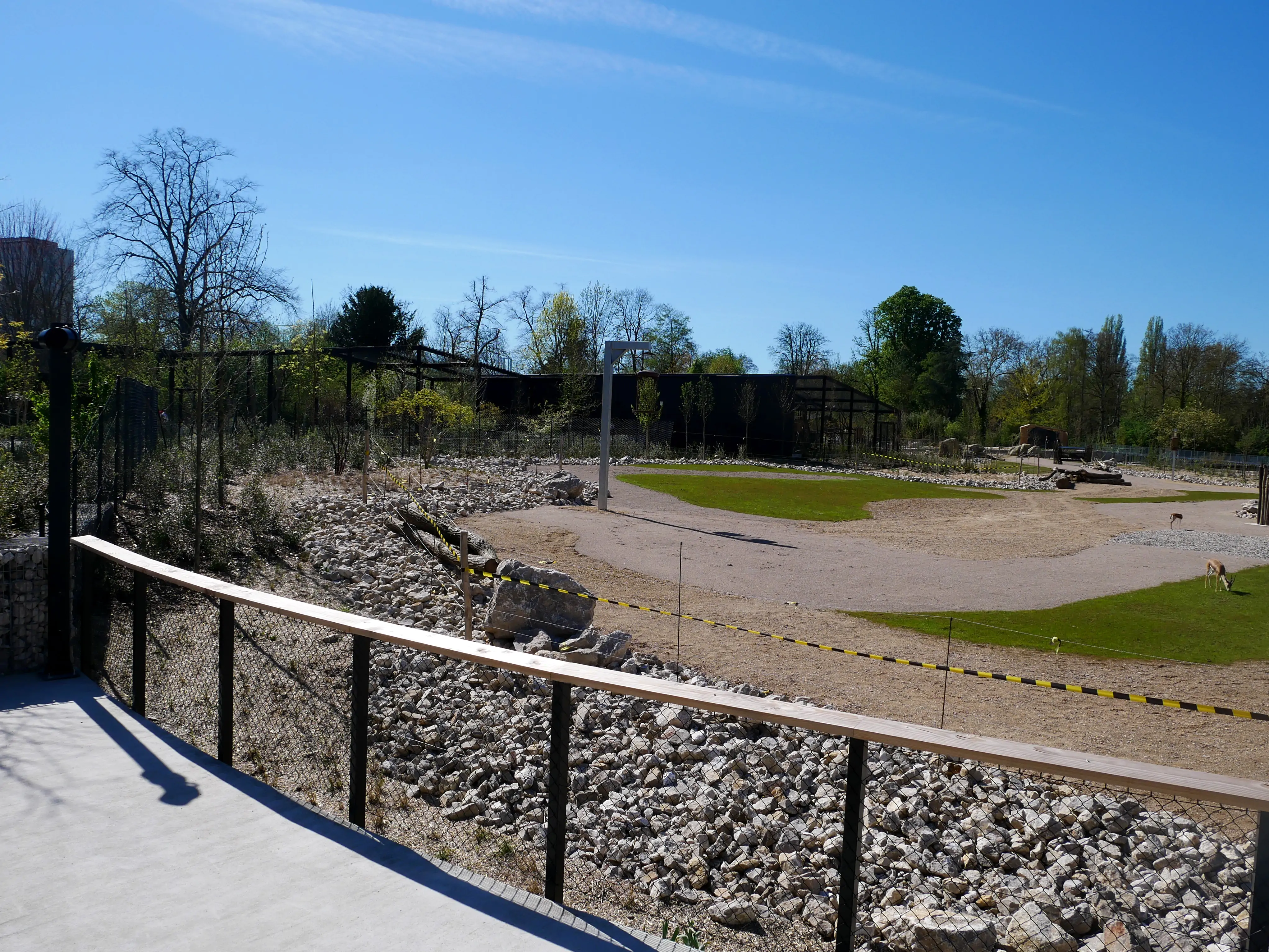 TOUS ENSEMBLE DANS LA SAVANE