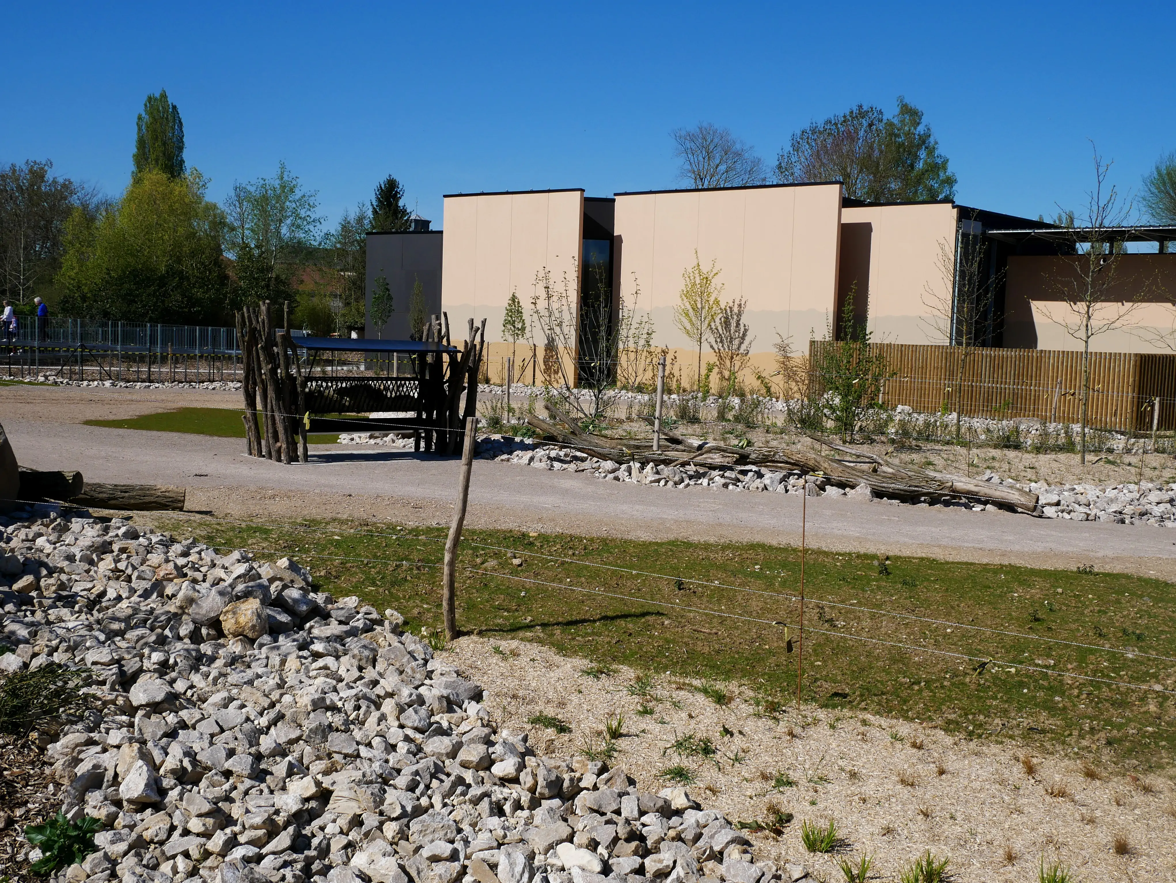 TOUS ENSEMBLE DANS LA SAVANE