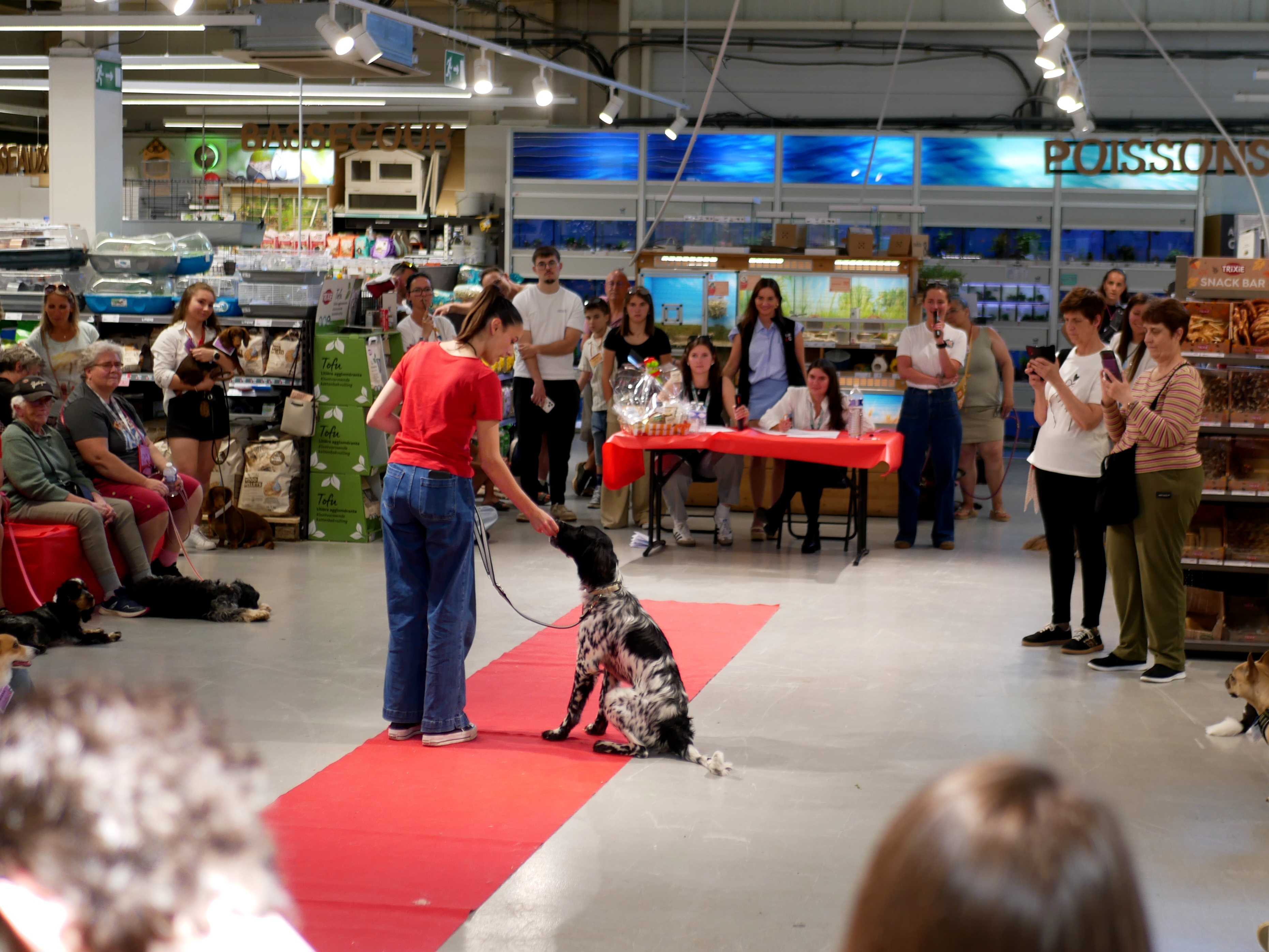 LA KERMESSE CANINE DE TOM&CO