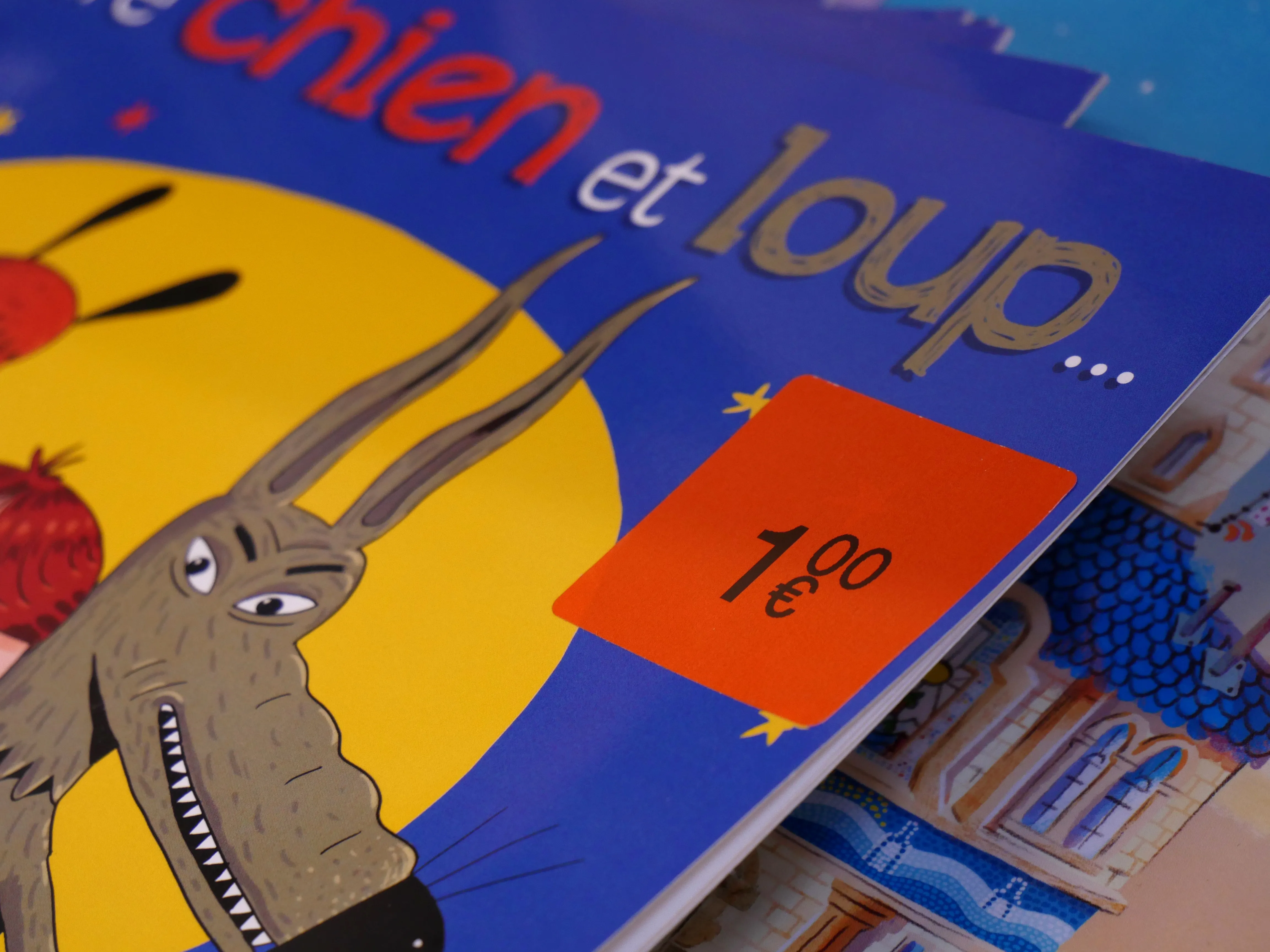 GRANDE BOURSE AUX LIVRES (1€)