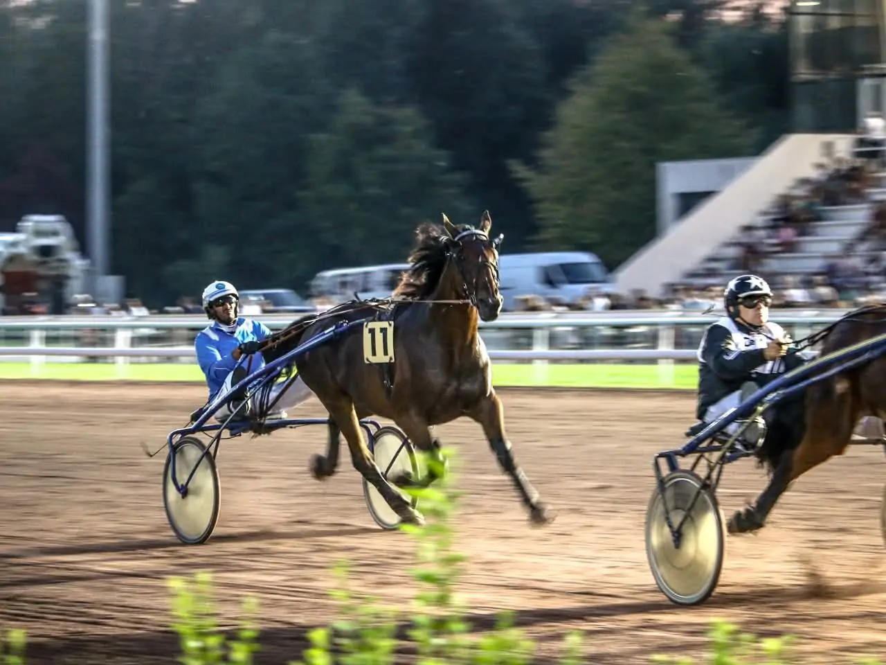 Courses de Trot Premium – Prix du Courrier Picard