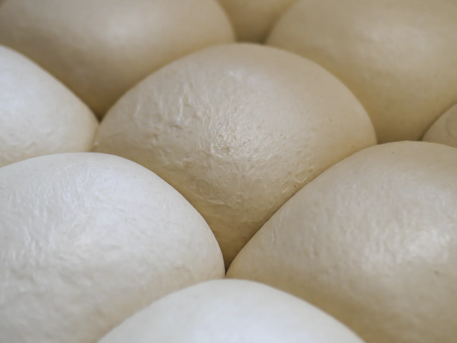 L’institution des pizzas artisanales à Amiens