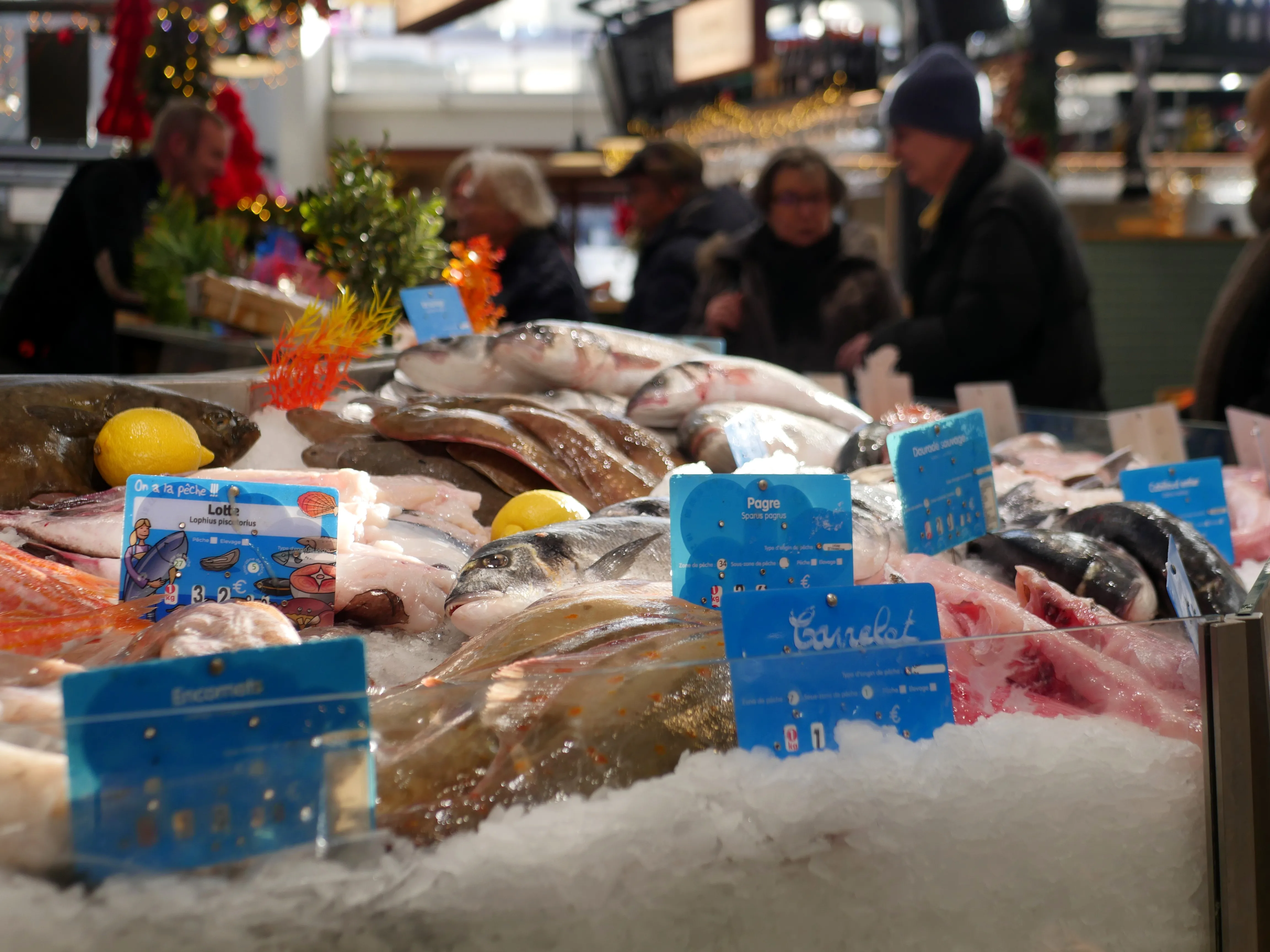 Poisson frais, fruits de mer et dégustation aux Halles d’Amiens