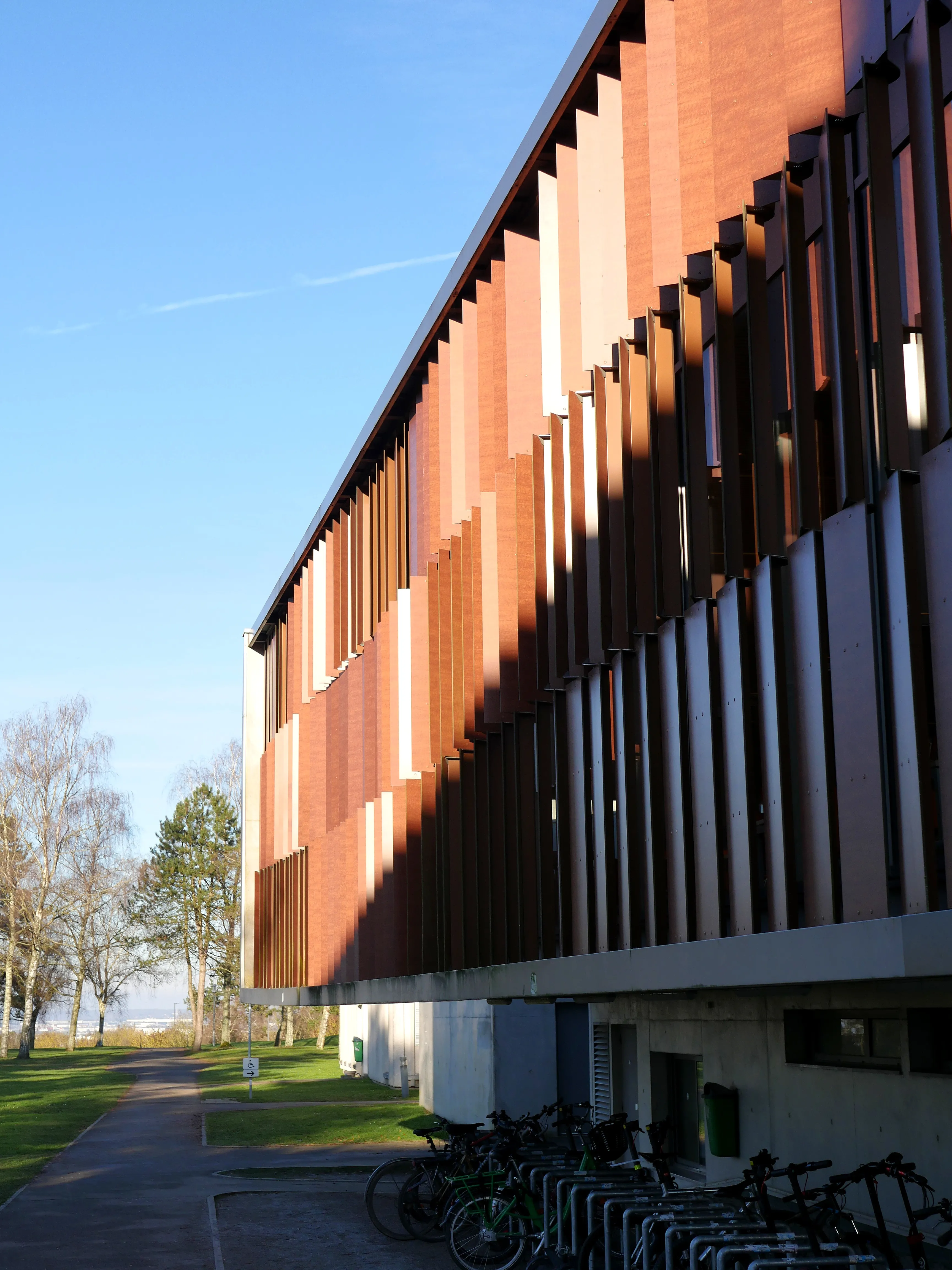 Institut Universitaire de Technologie