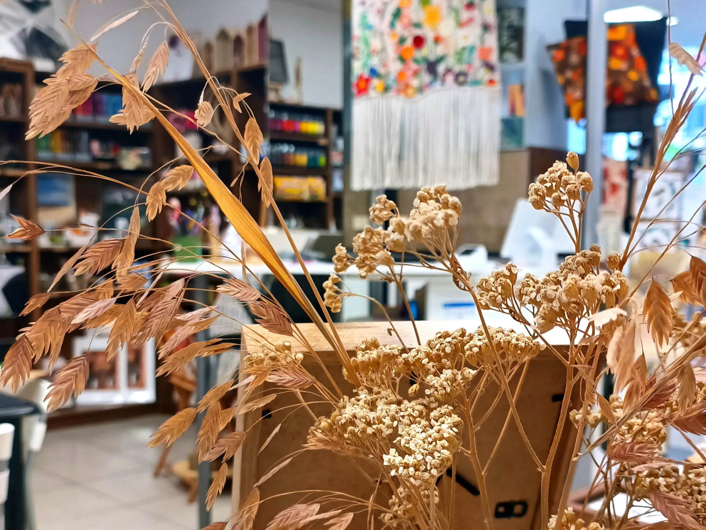 L'art s'invite dans un concept unique à Amiens