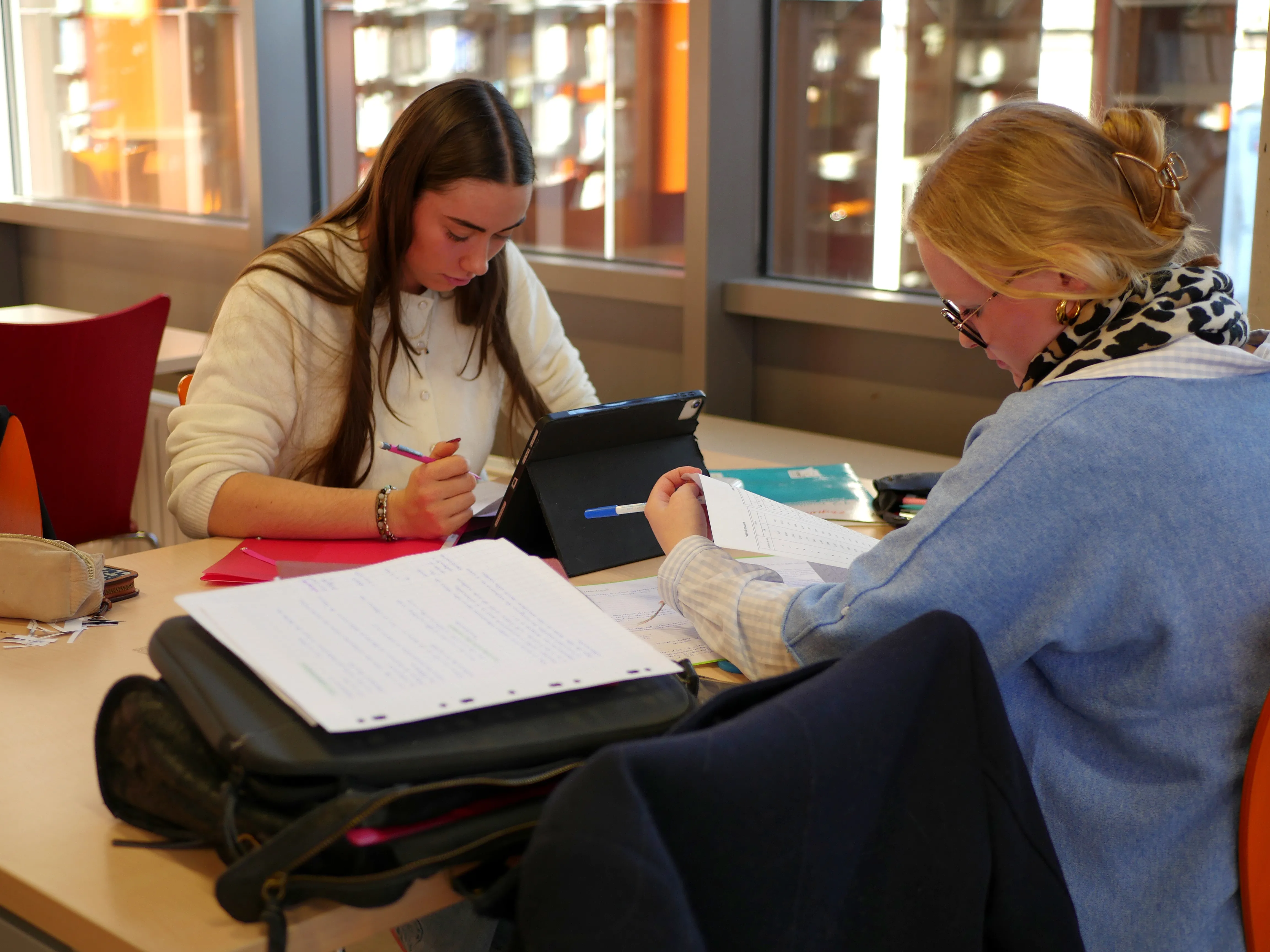 Institut Universitaire de Technologie