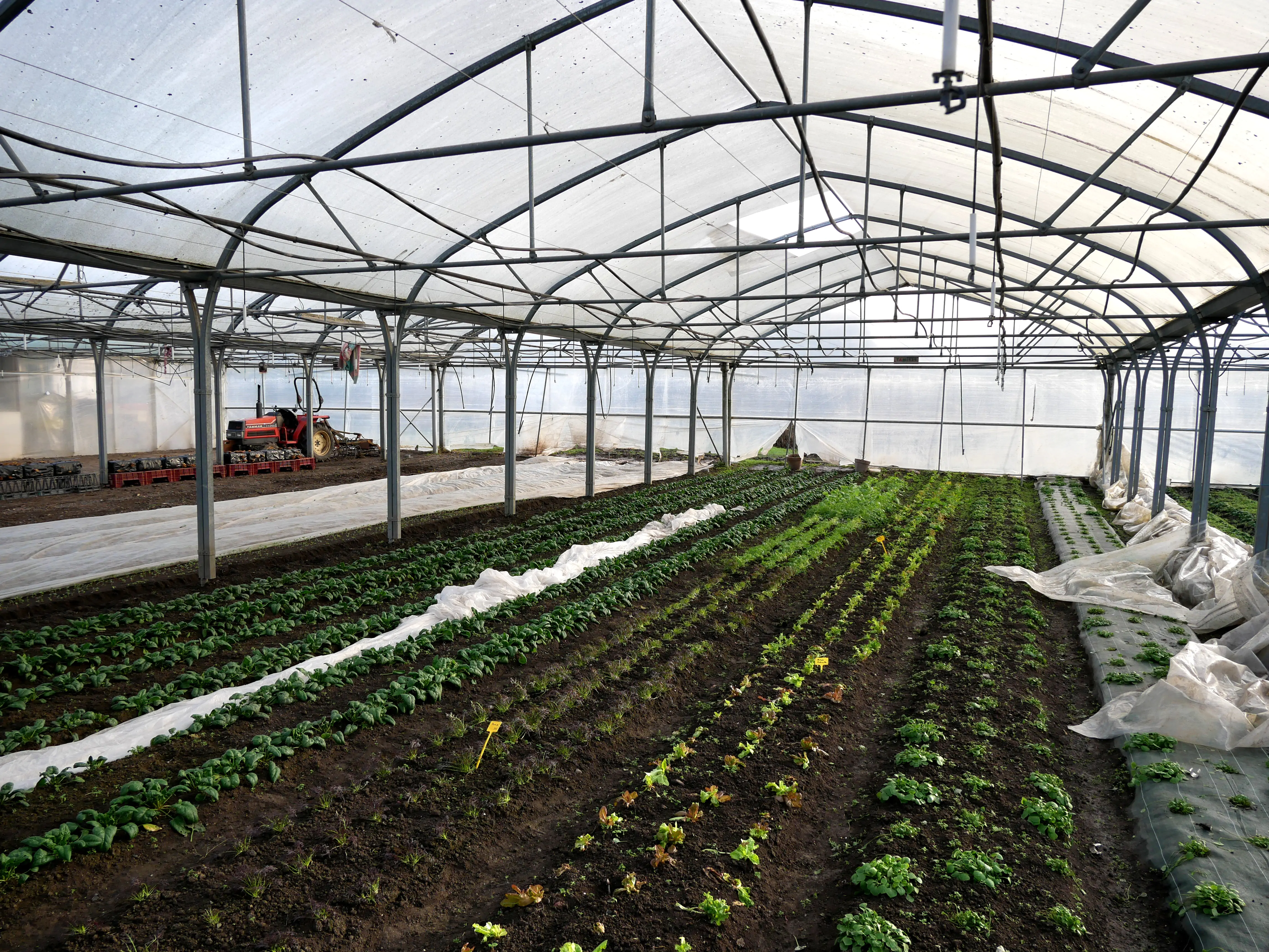 Une ferme locale engagée dans les Hortillonnages