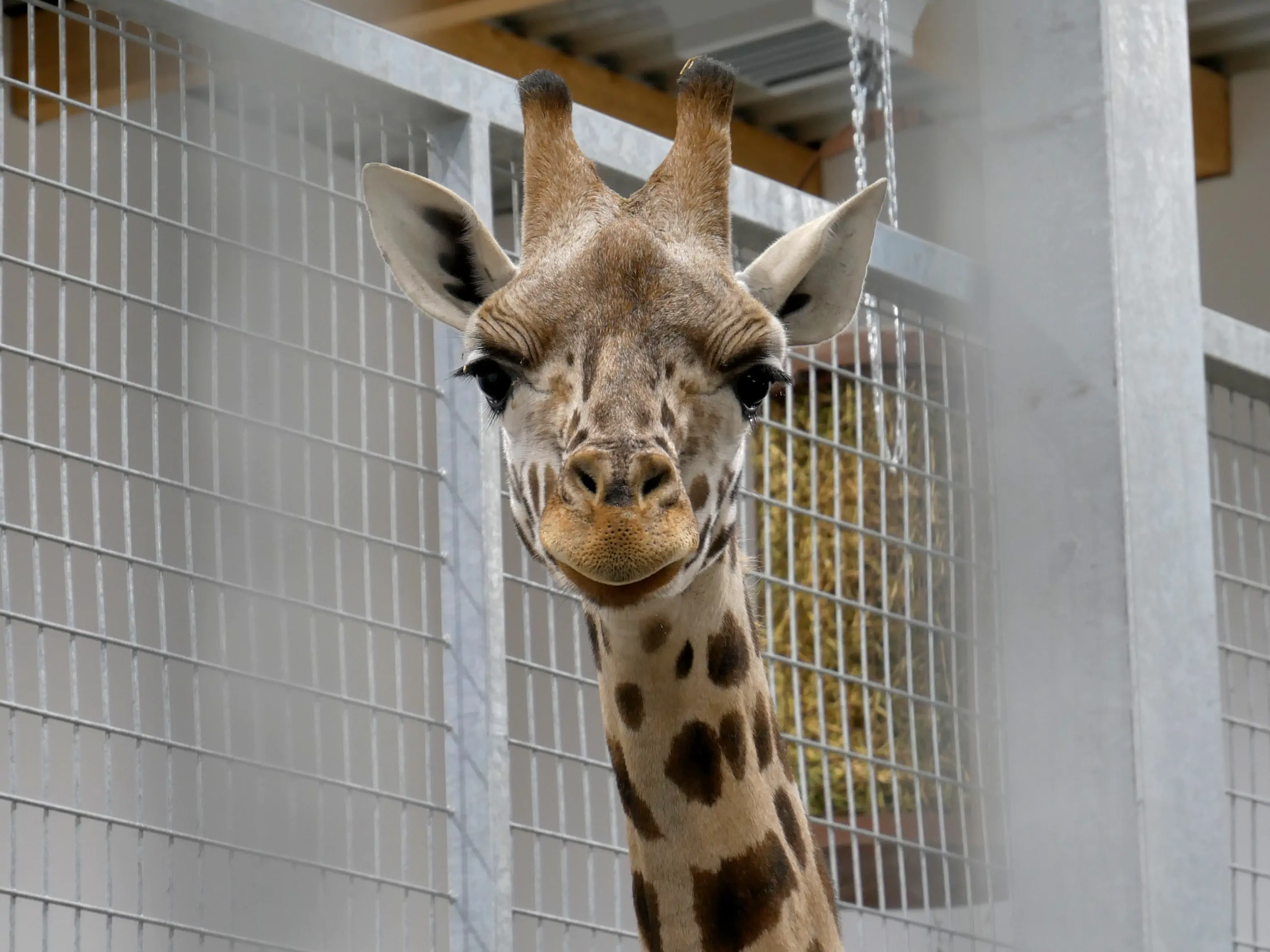 Une parenthèse enchantée au coeur de notre ville