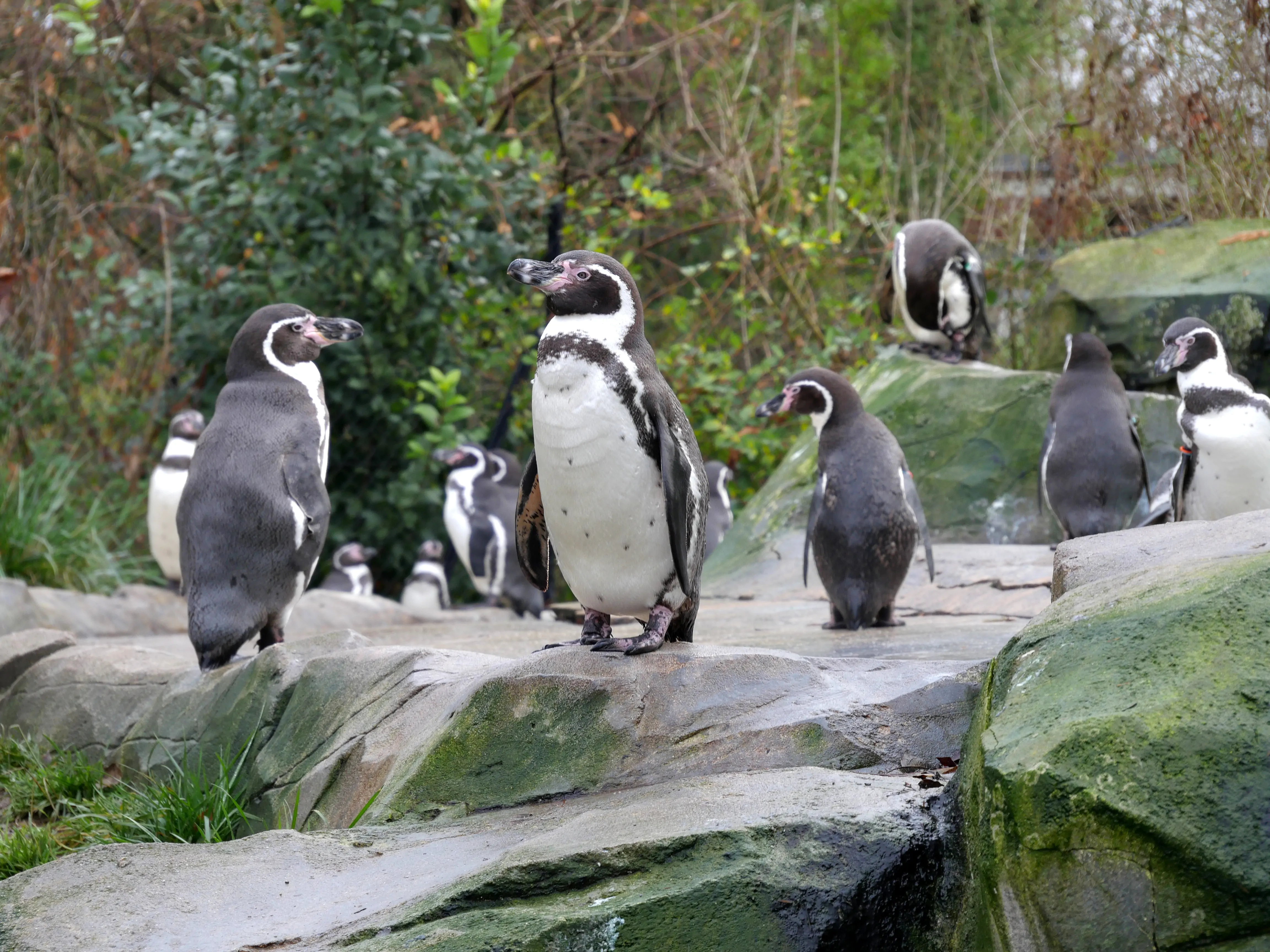 Une parenthèse enchantée au coeur de notre ville