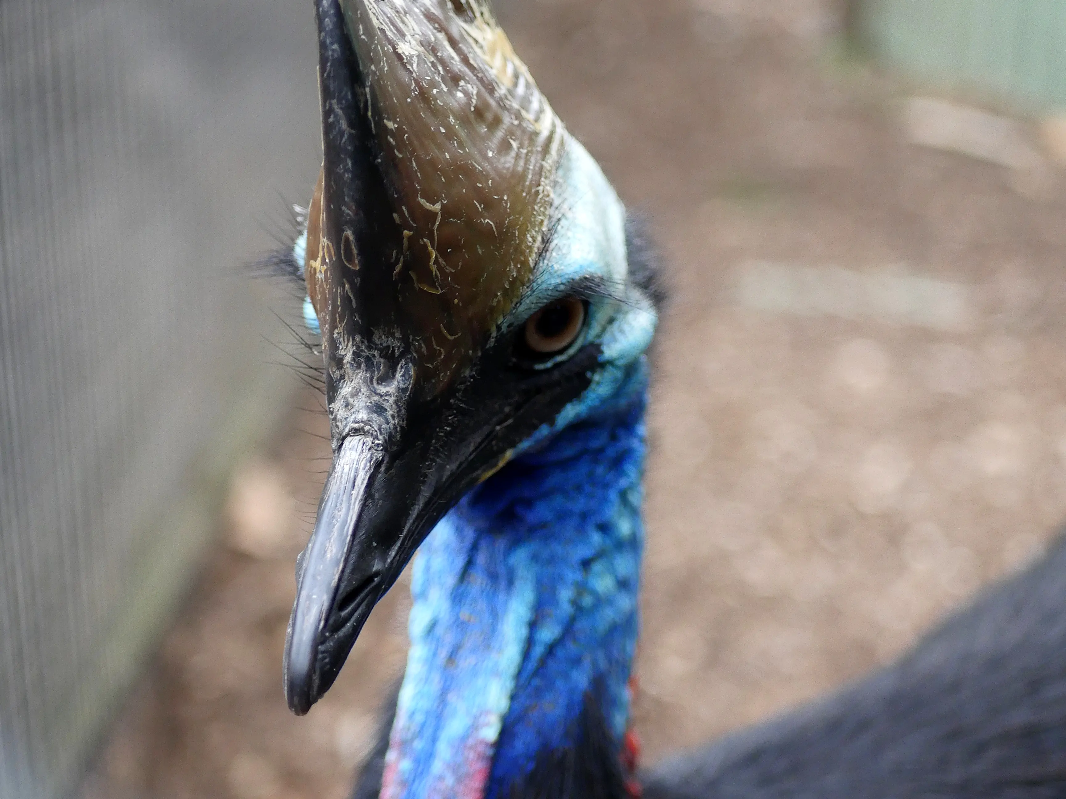 Une parenthèse enchantée au coeur de notre ville