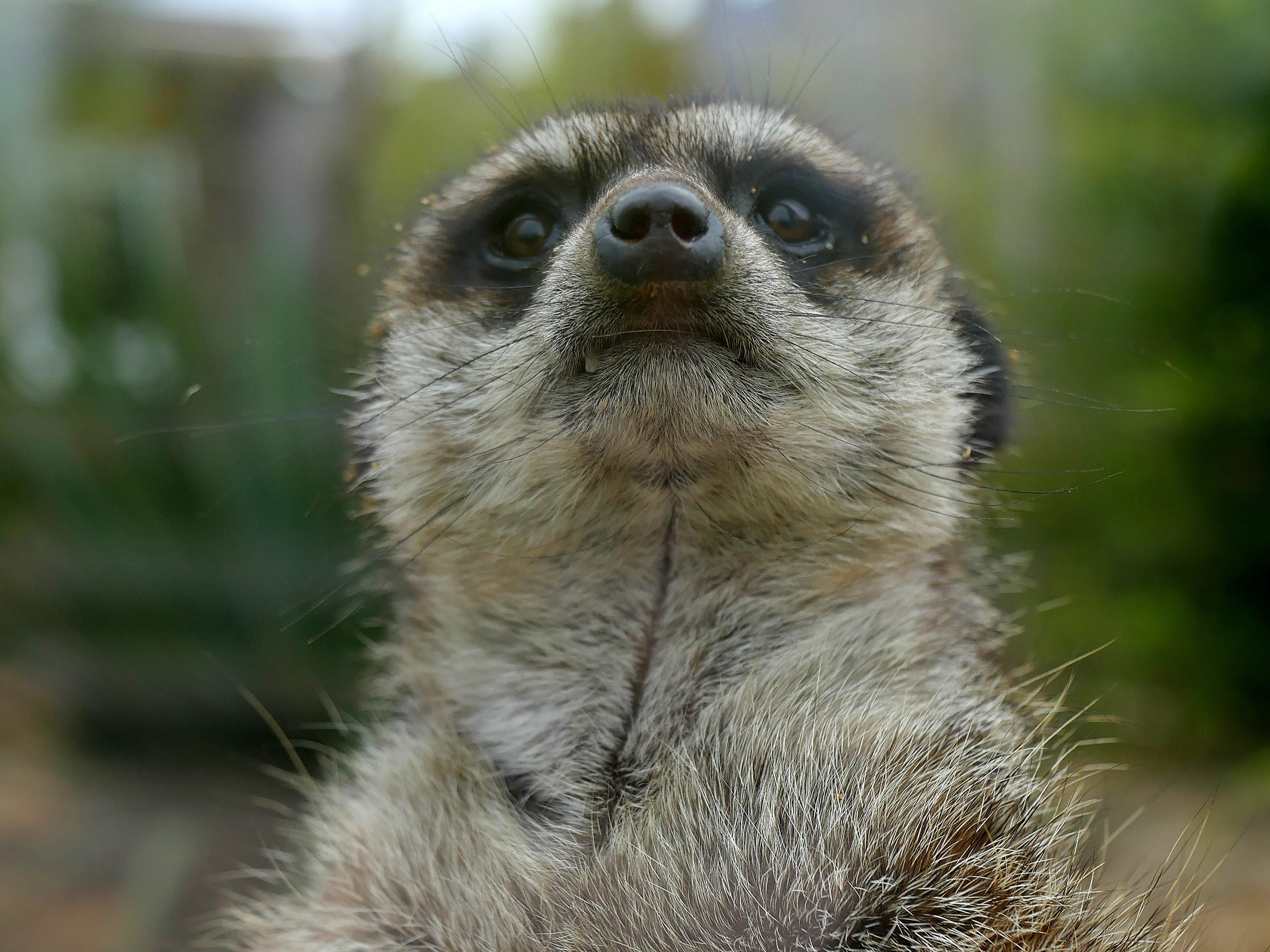 Une parenthèse enchantée au coeur de notre ville