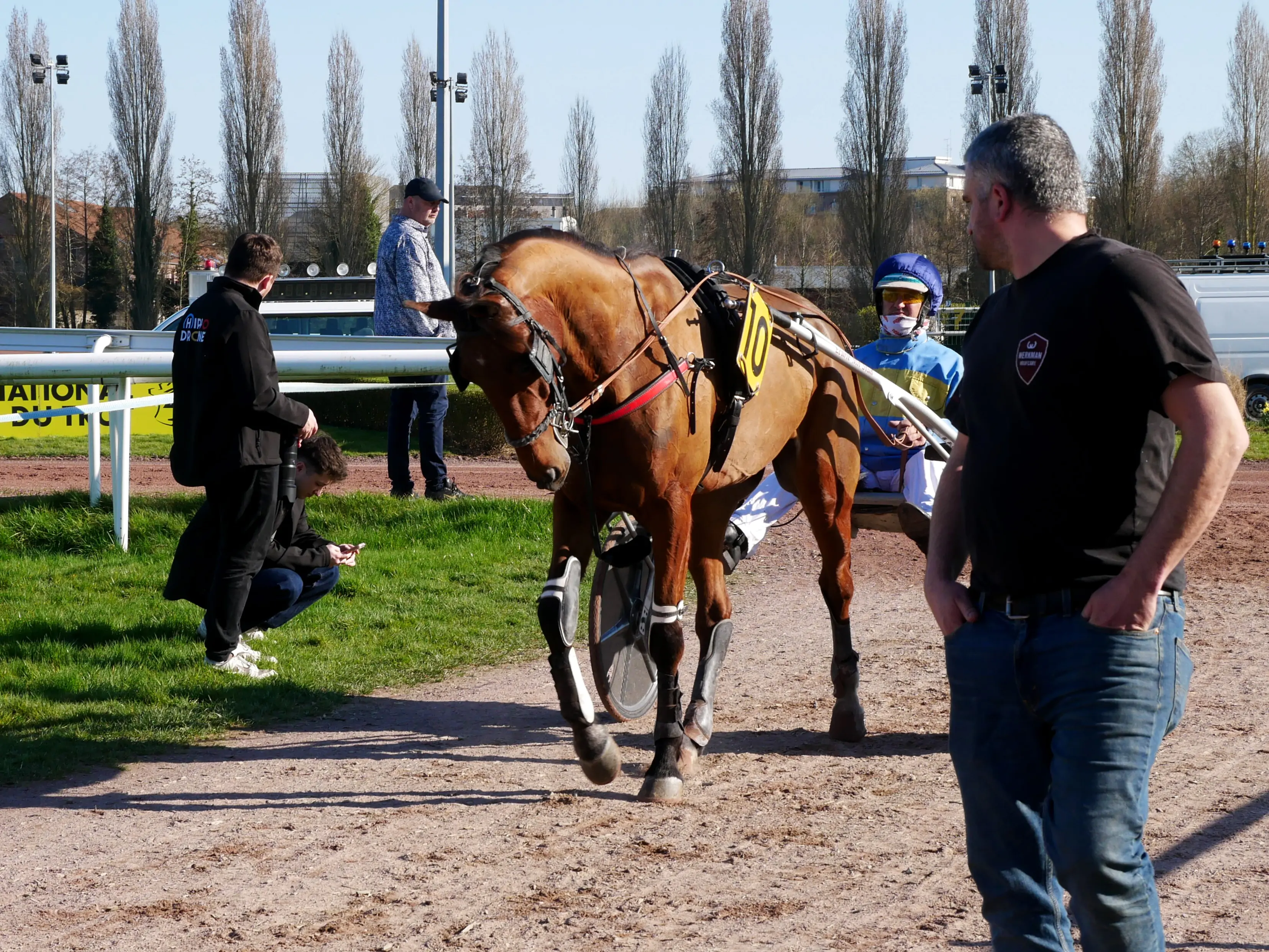 Quand la passion du trot fait vibrer la ville...