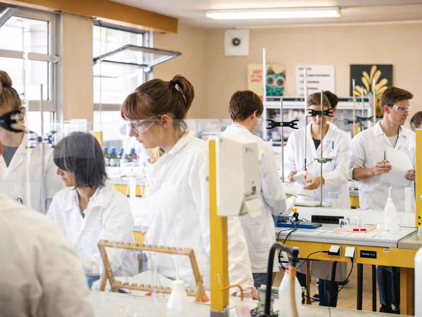 La filière Génie Biologique de l'IUT d'Amiens