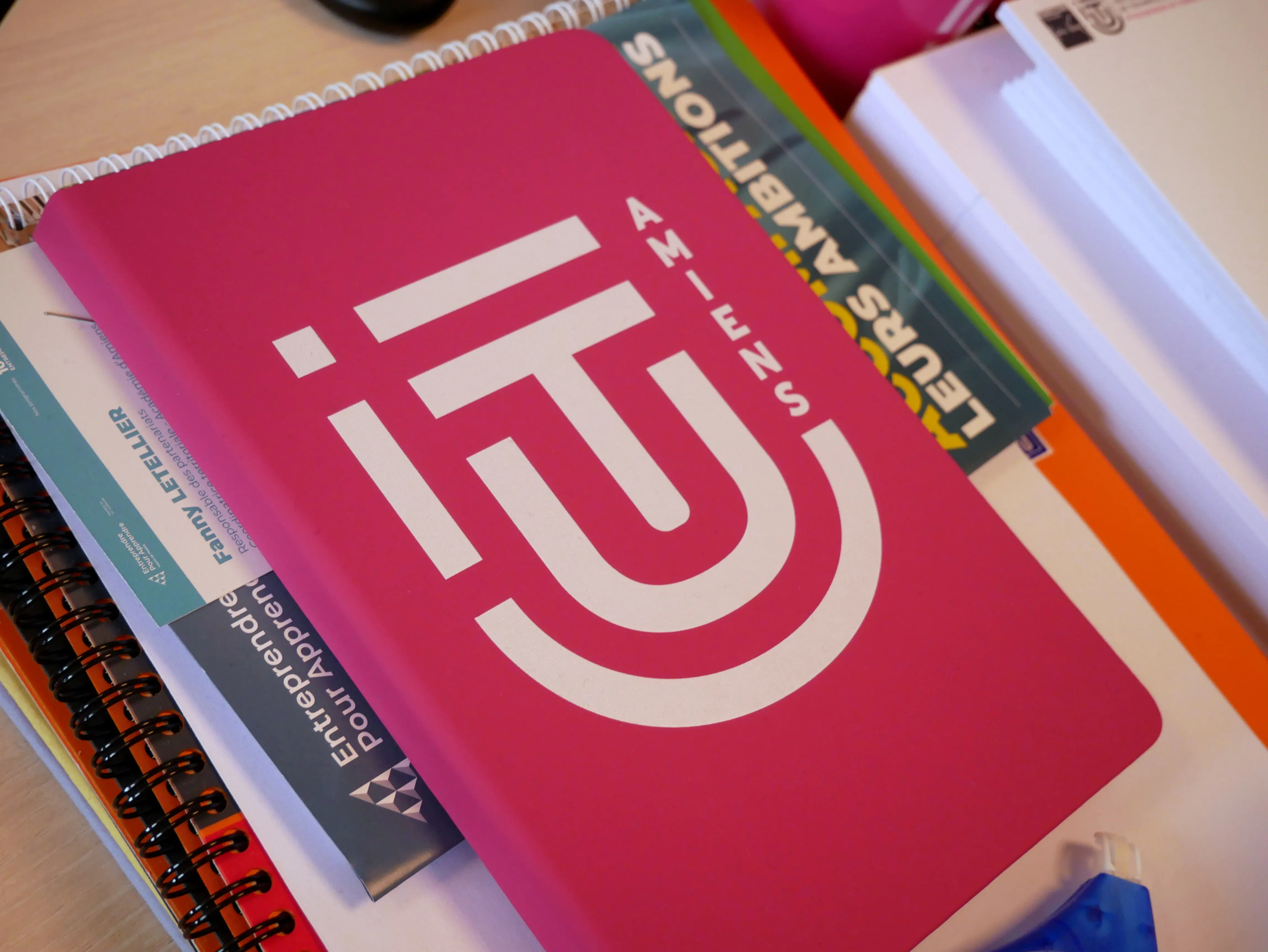 La filière Techniques de Commercialisation de l'IUT d'Amiens