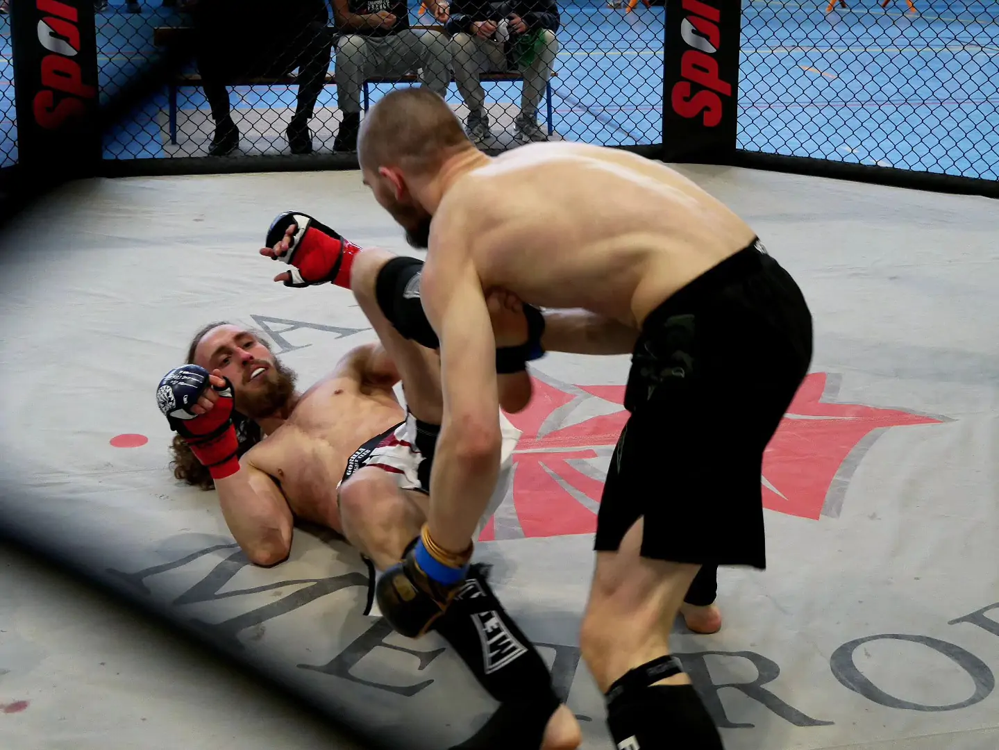 Ils font bouger le MMA à Amiens !