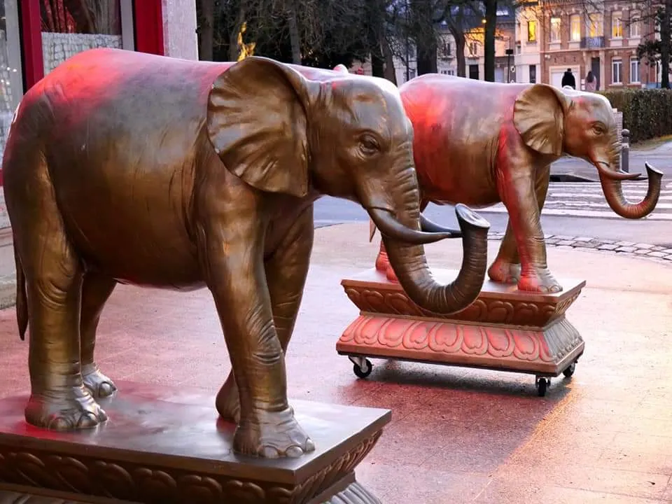 Un Indien dans la ville !