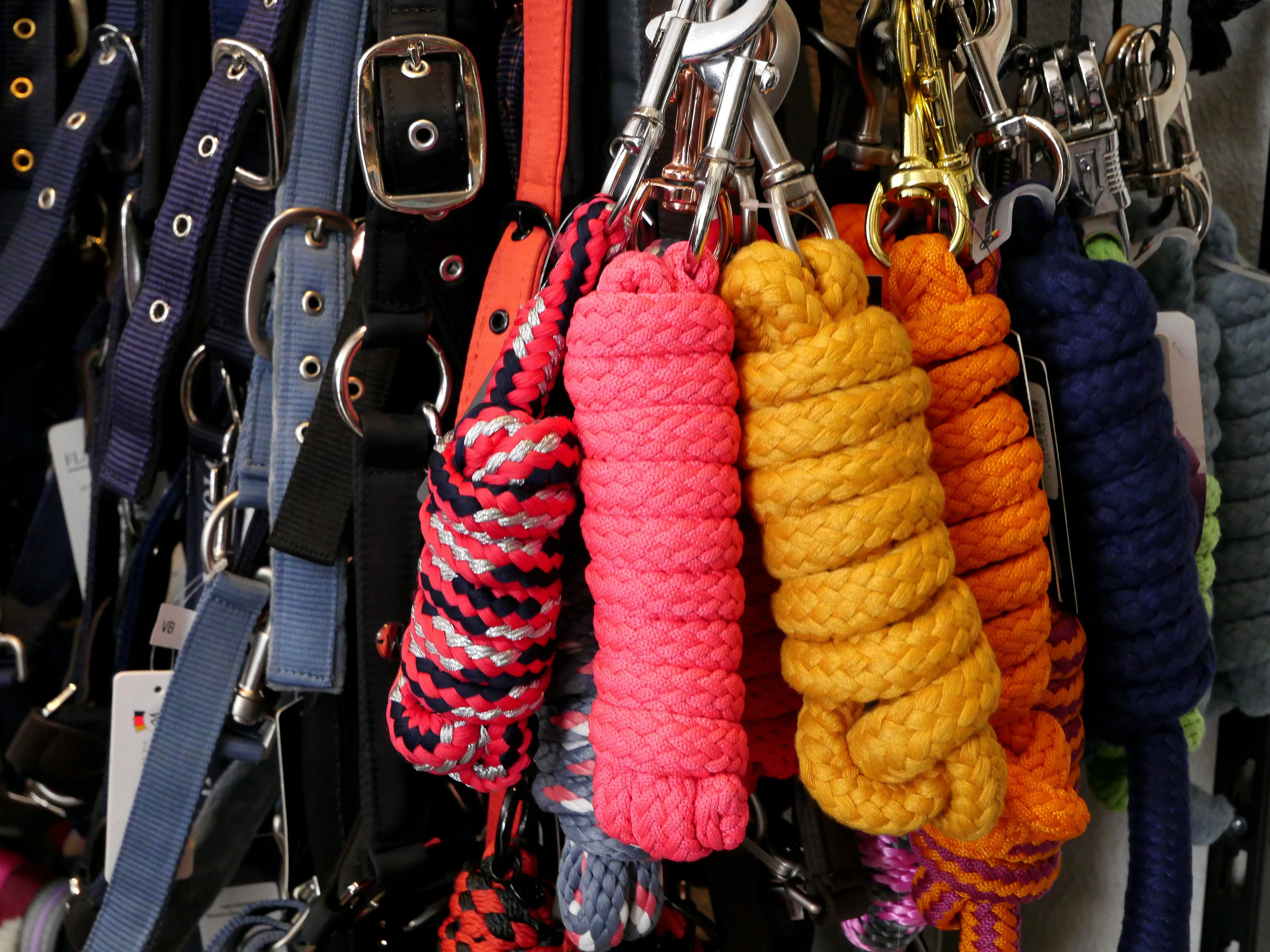 Tout pour le cheval à 15min d'Amiens !