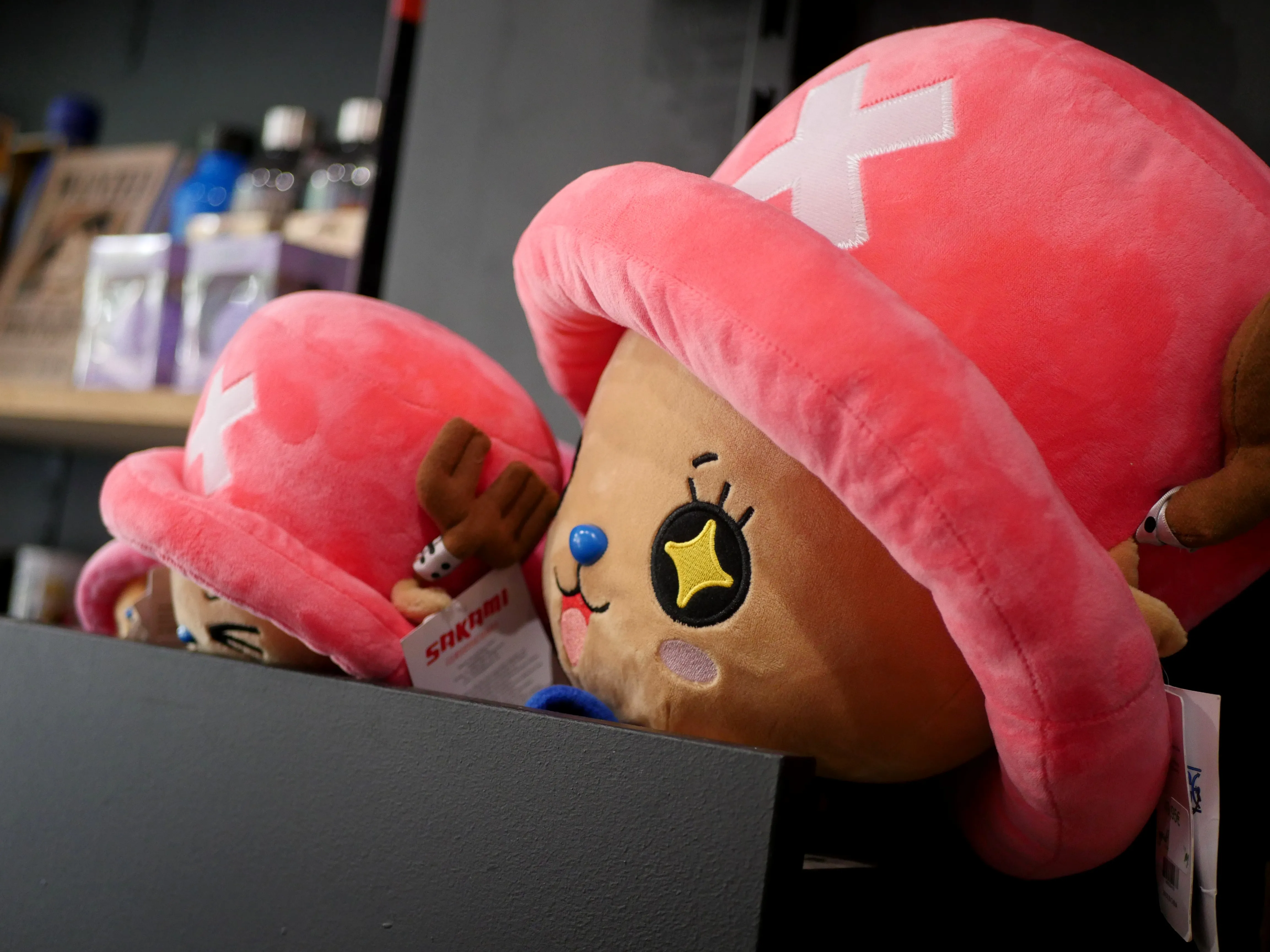 Une boutique pleine de magie