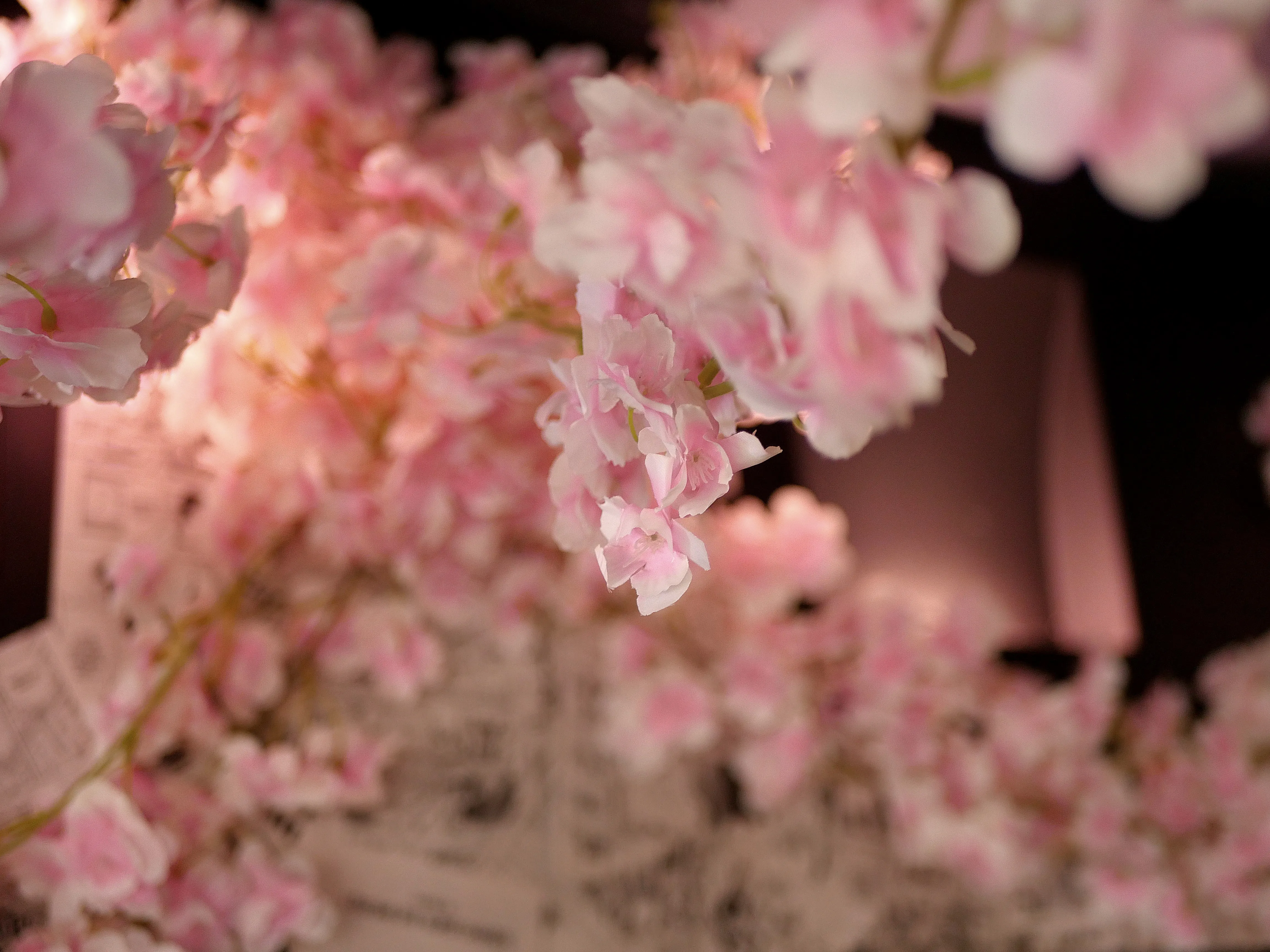 Une boutique pleine de magie