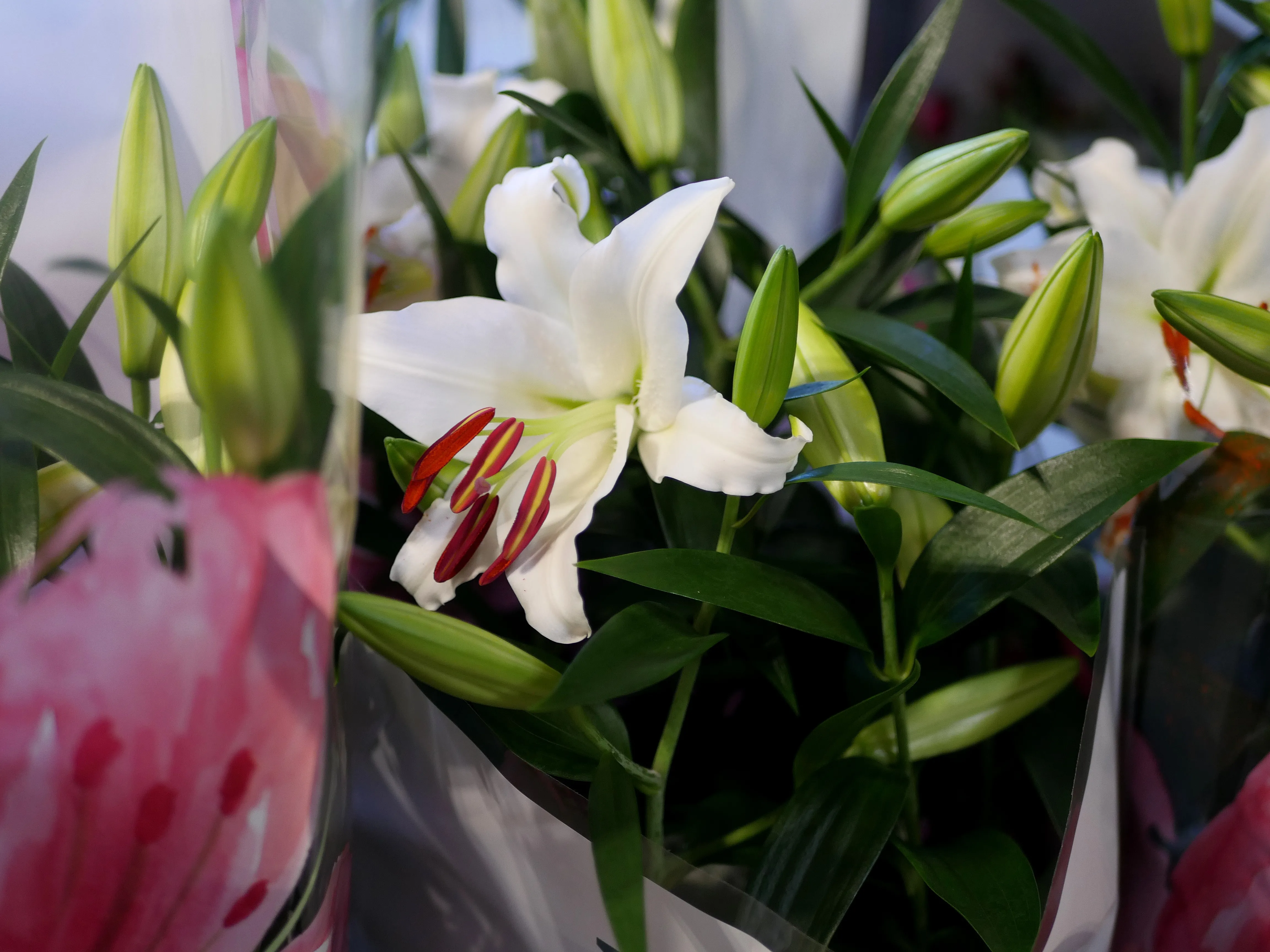 Des espaces pour se rencontrer