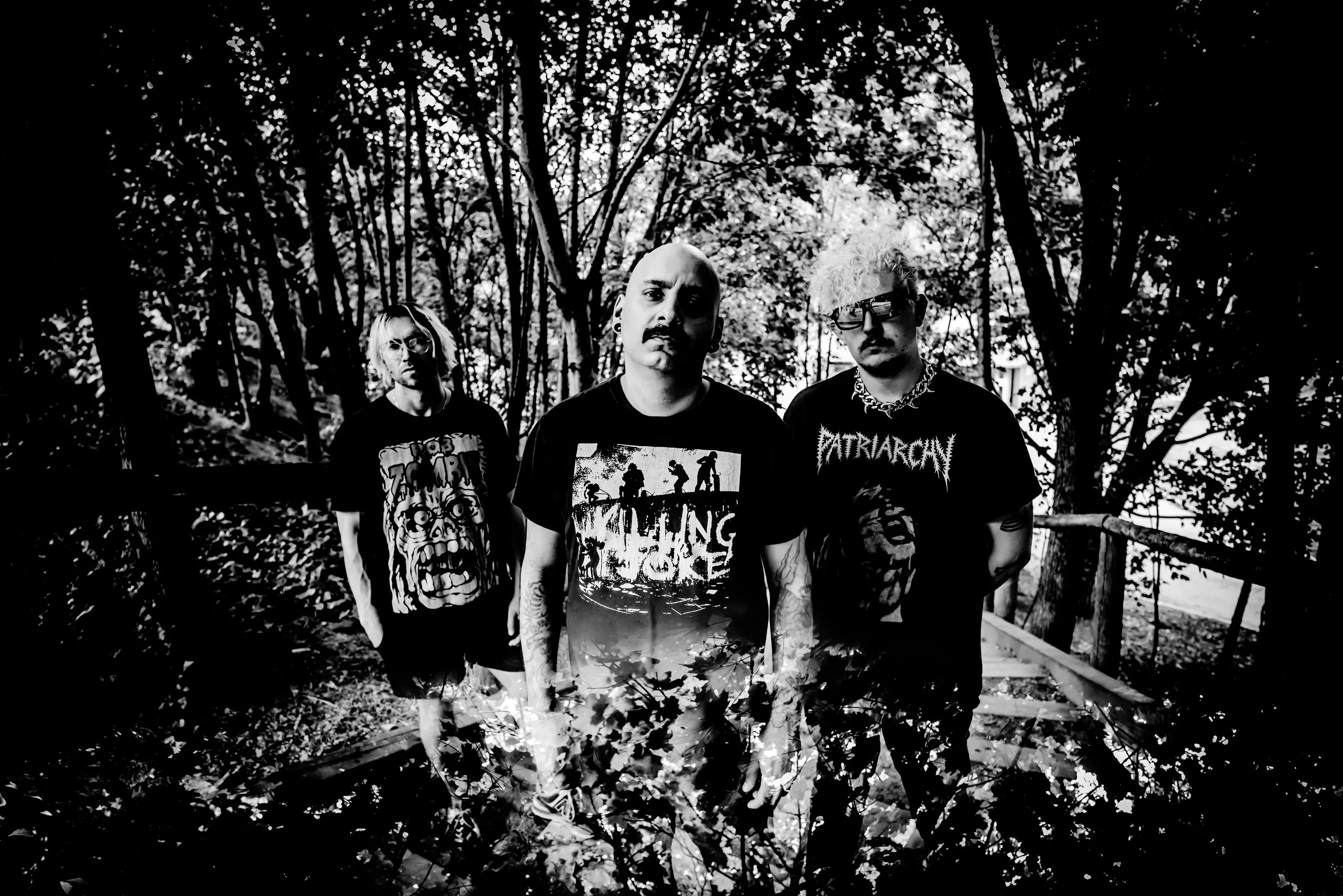 SHALLOW WAVES (CAN) ET PLAISIR D'OFFRIR